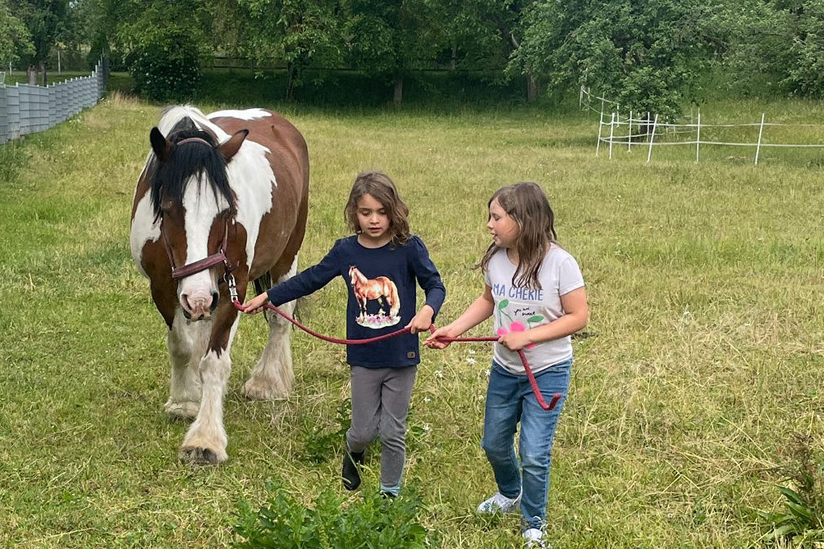 Kinder führen gemeinsam ein Pferd.
