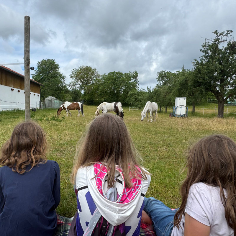 Kinder schauen Pferde auf der Weide an