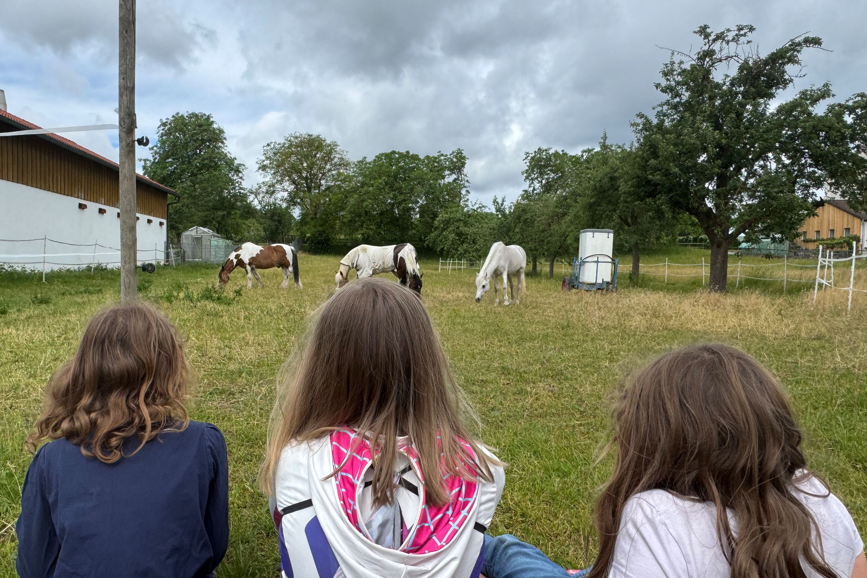 Kinder schauen Pferde auf der Weide an