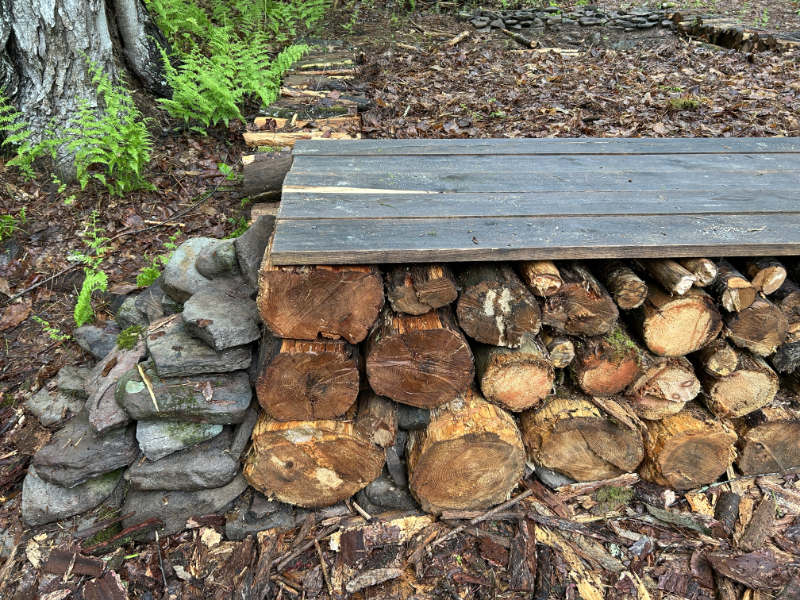 Stack of cut logs covered with wooden planks beside a stone wall and green ferns on forest floor.