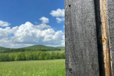 Close-up of weathered wooden boards in front of a green field, hills and blue sky.