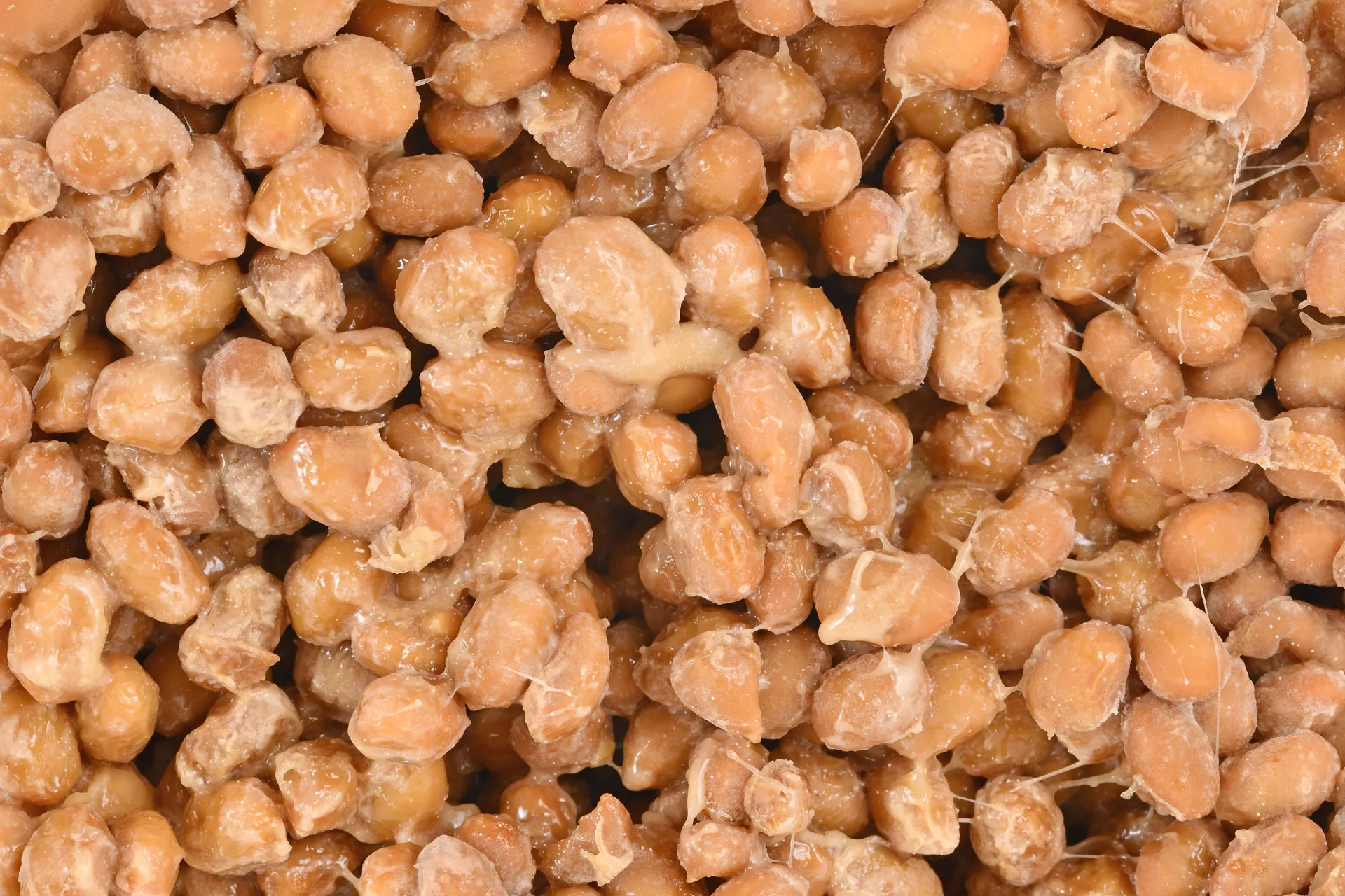 Natto, fermented soybeans, up close.