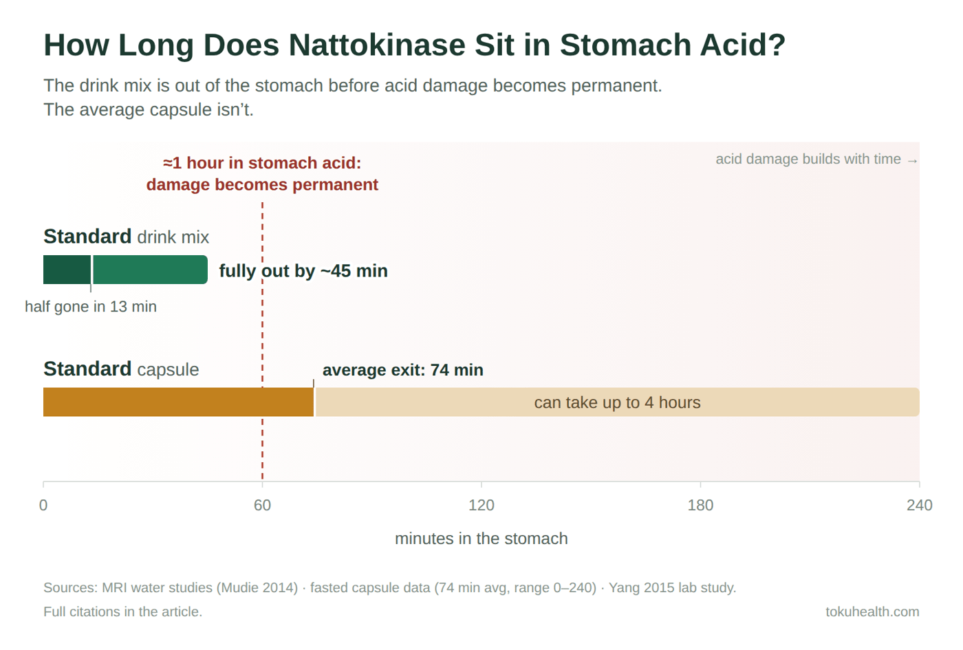 How long does nattokinase sit in stomach acid graphic