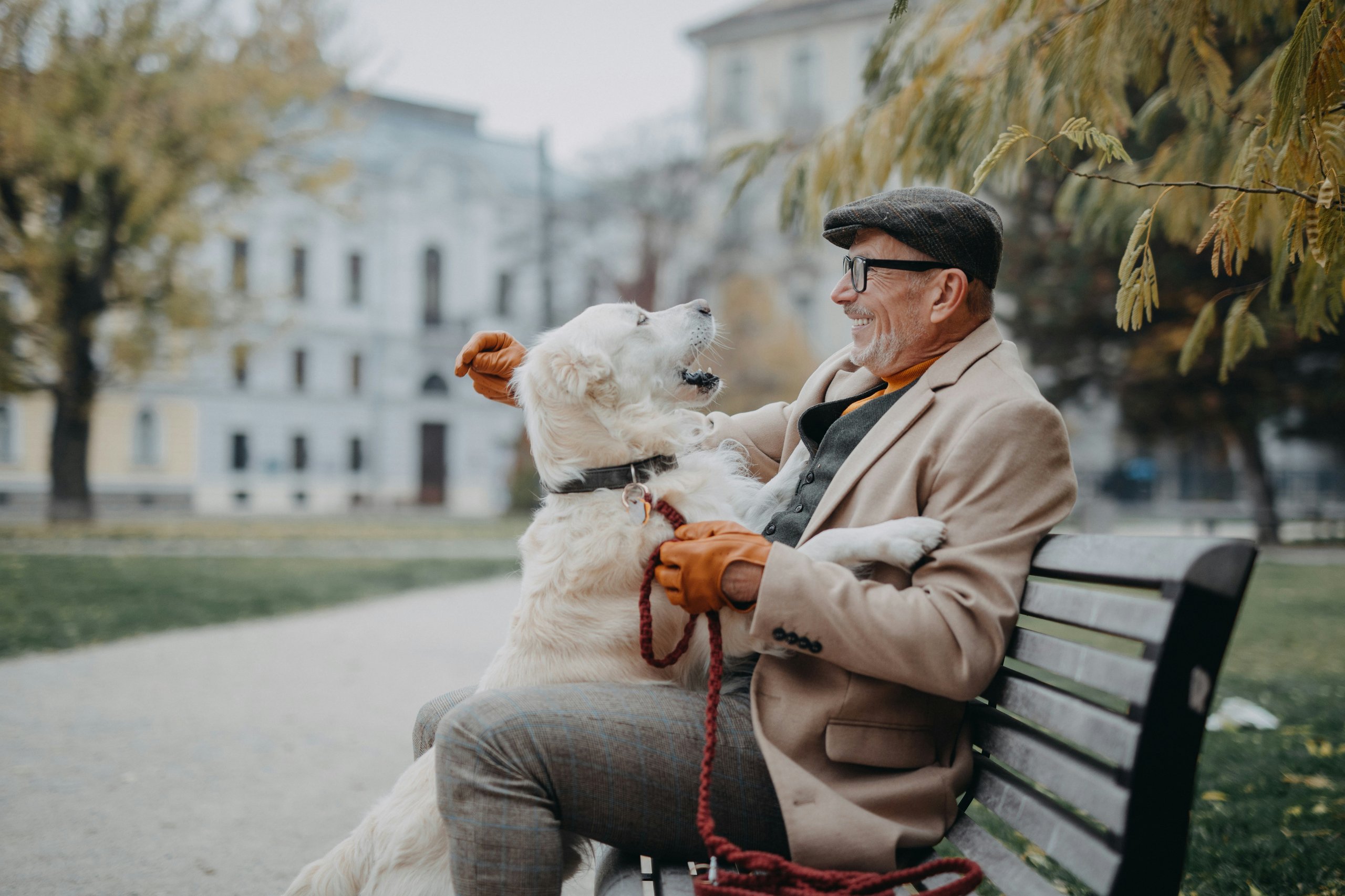 Elderly man with white dog sitting on bench, sharing a joyful moment together
Photo Credit: Unsplash