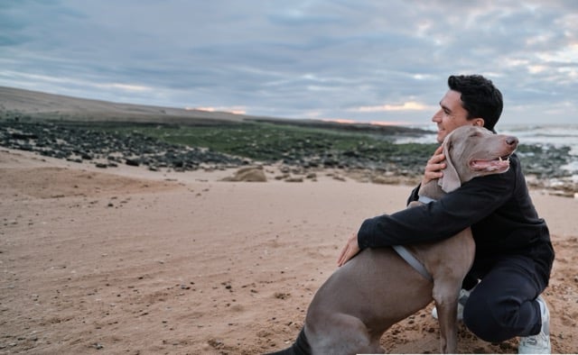 Person hugging dog on rocky beach at sunset with cloudy sky
Photo Credit: Andrej Lisakov, Unsplash