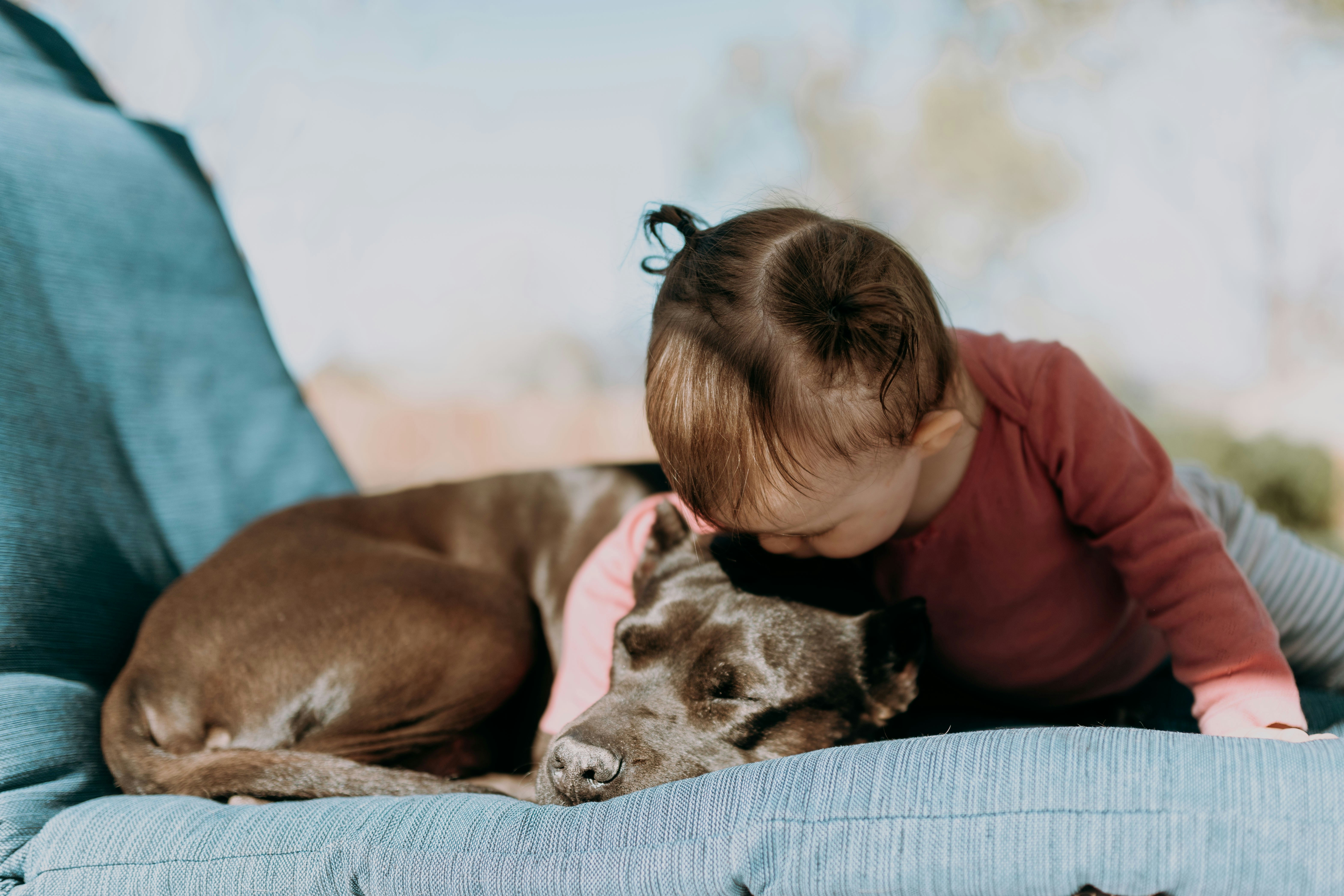 Young child gently cuddling with a sleeping dog on a blue couch
Photo Credit: Sandra Seitamaa, Unsplash