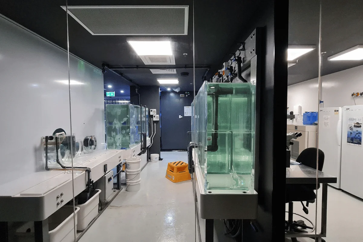 Technician in full protective suit walking through advanced cleanroom facility.