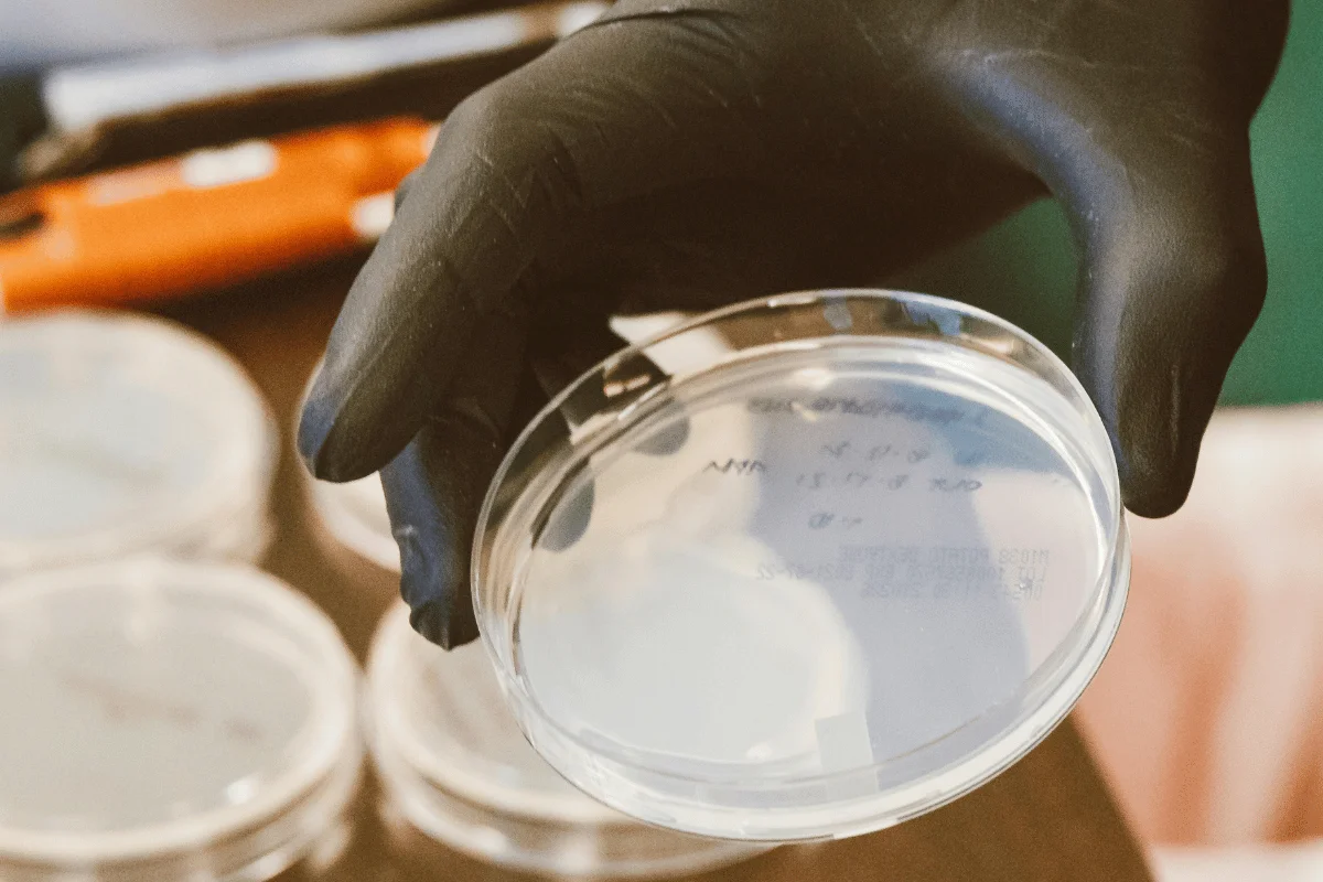A gloved hand holding a clear petri dish with faint writing, set against a background of similar stacked dishes. The setting conveys a lab environment.
