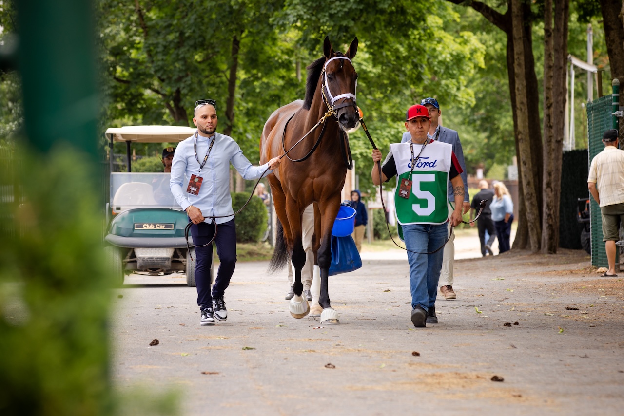 Two men walking a racehorse down a tree-lined path near a golf cart and other people.