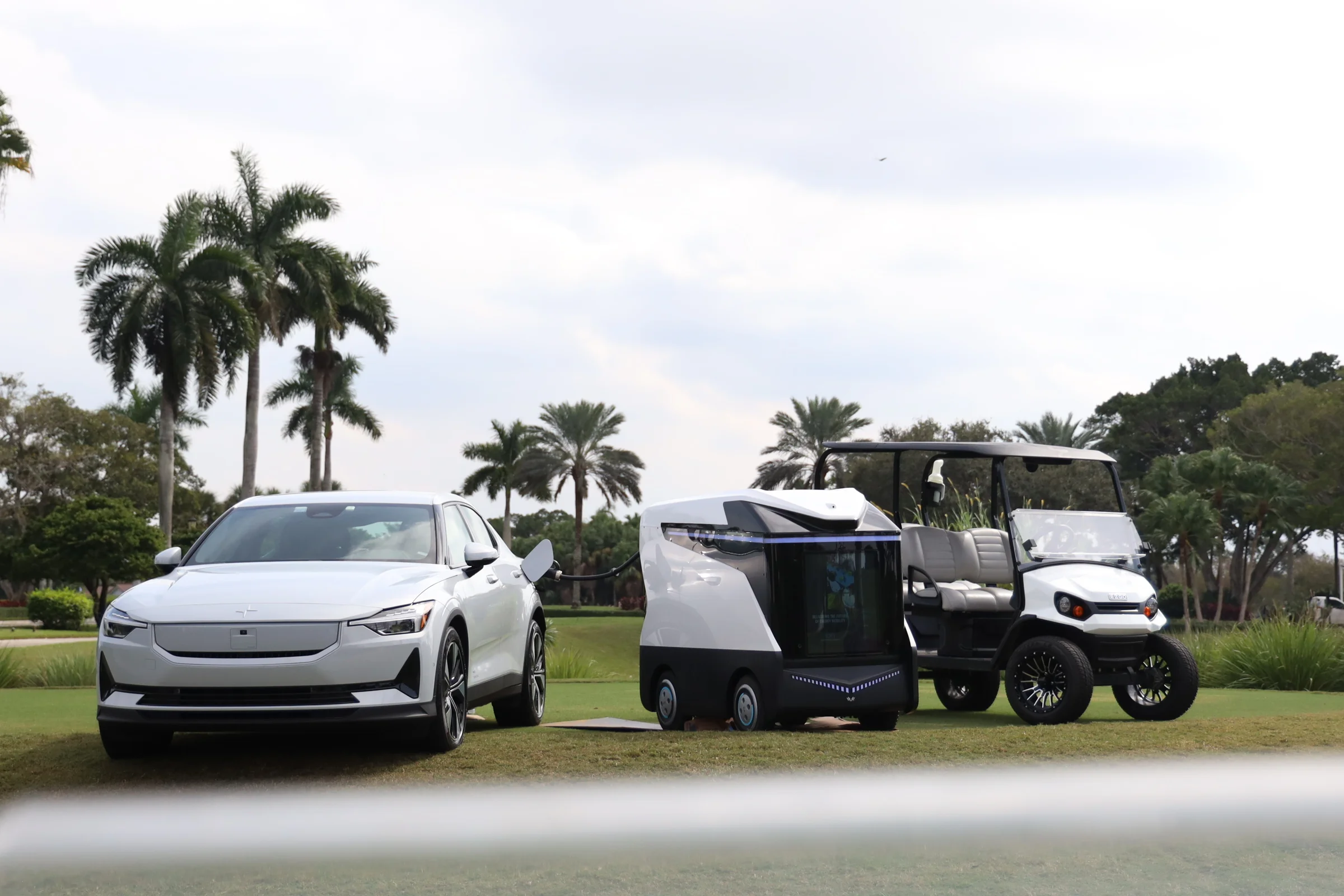 Carritos de golf estacionados en fila bajo las palmeras.