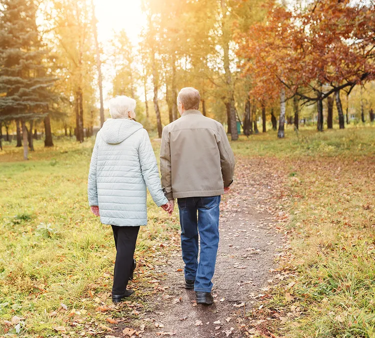 Elderly couple holding hands and walking on a path in a sunlit autumn park.