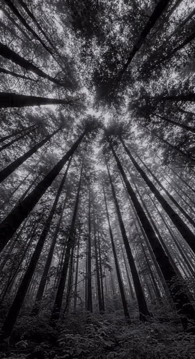 image of people working in an office (for a real estate tech)