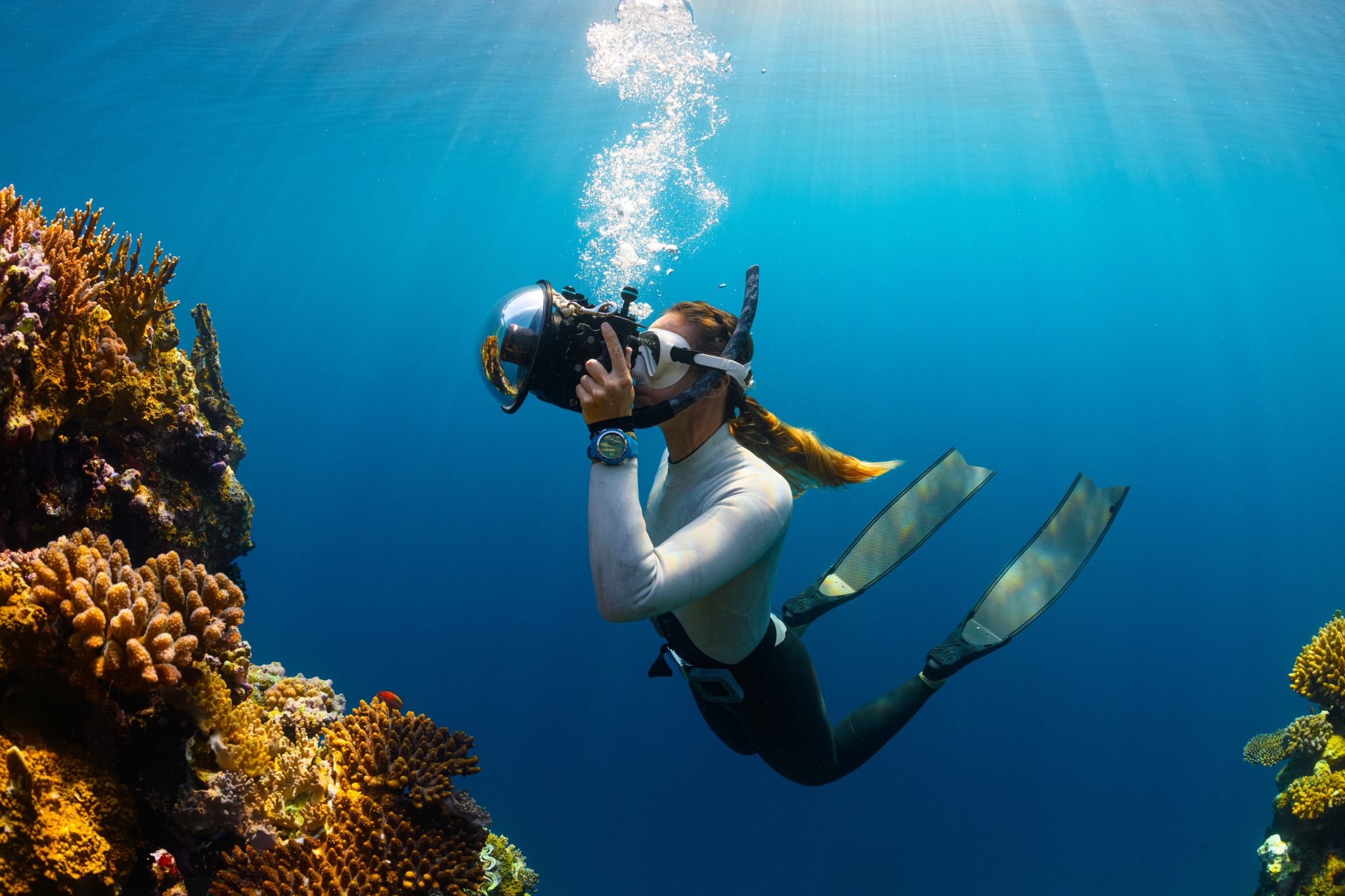 Freediver under a school of sardines