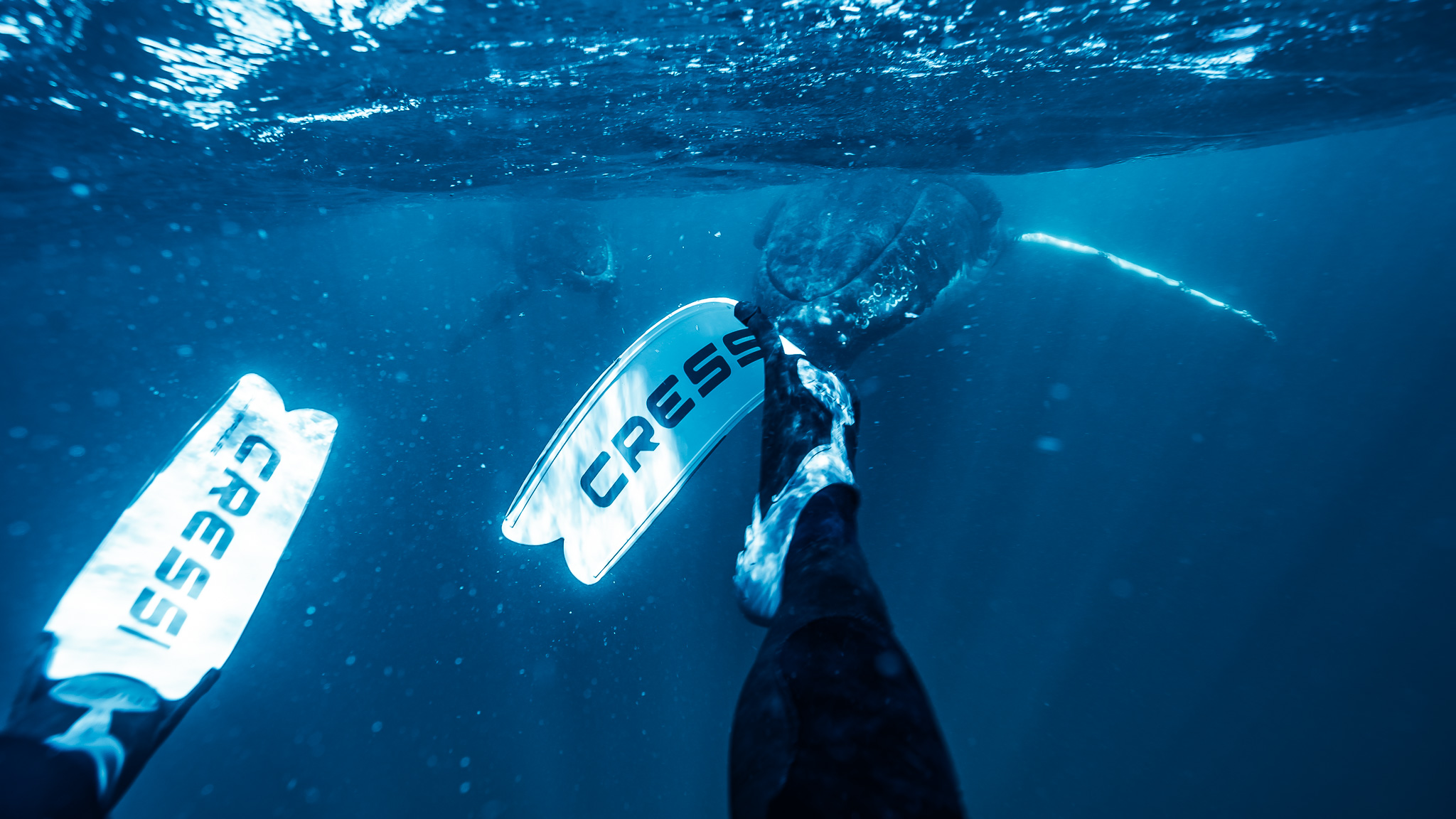 Maui travelers in the ocean