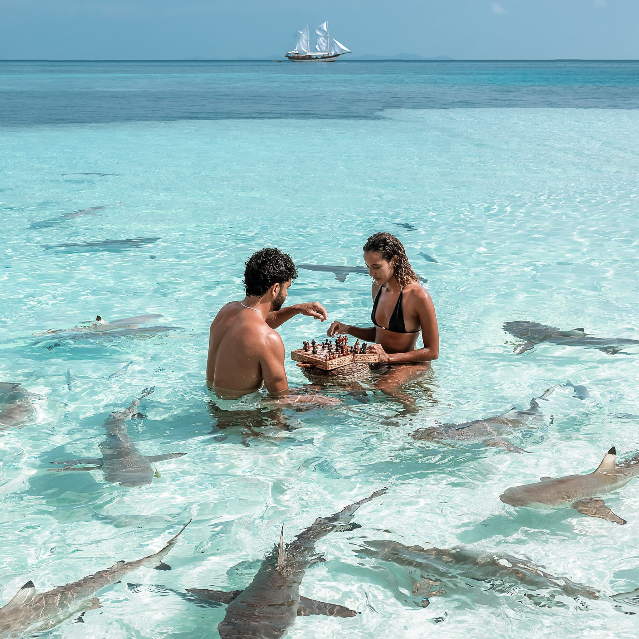Two guests playing chess in shallow water with sharks