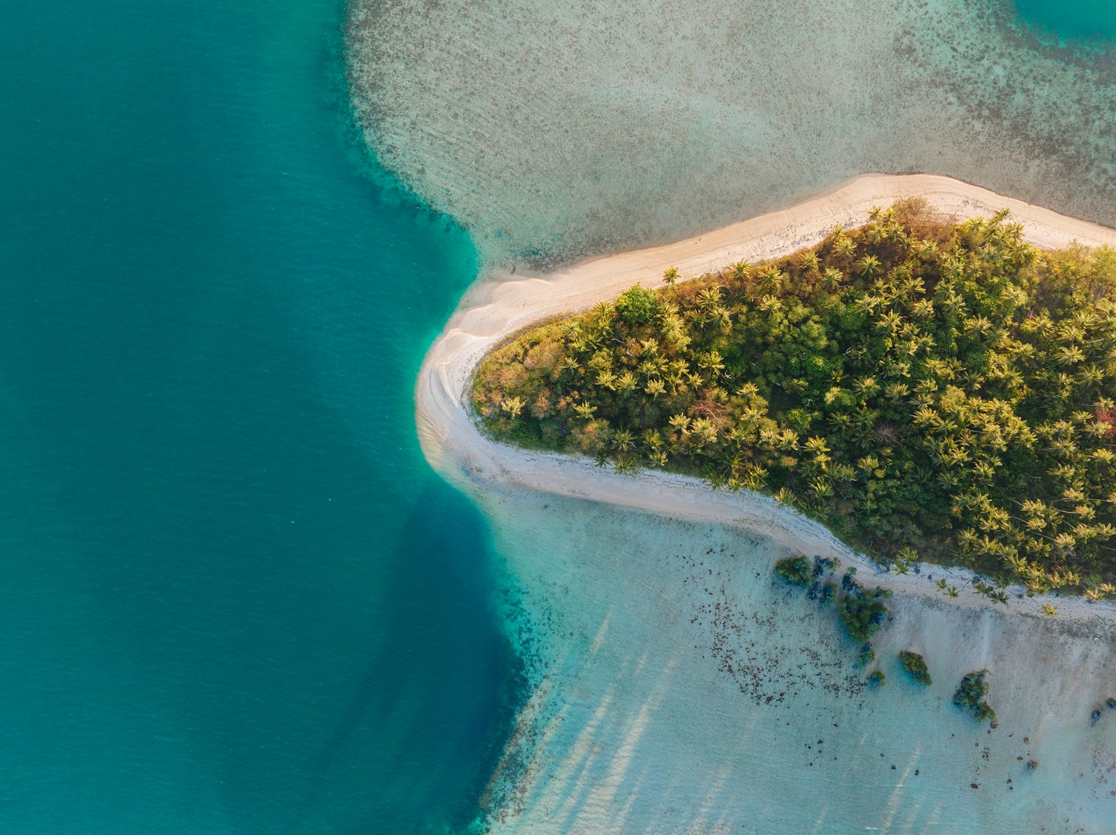 The Yasawa Islands: A Complete Guide for Wildlife Travellers