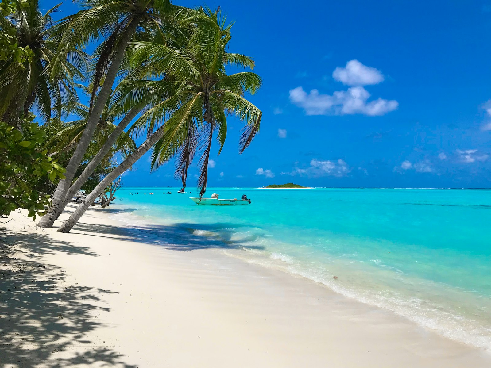 Best Time to Visit Fiji for Diving, Sharks and Manta Rays