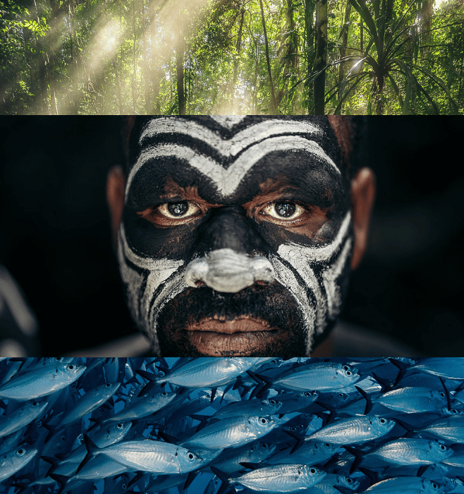 Papuan man with painted face above a school of fish