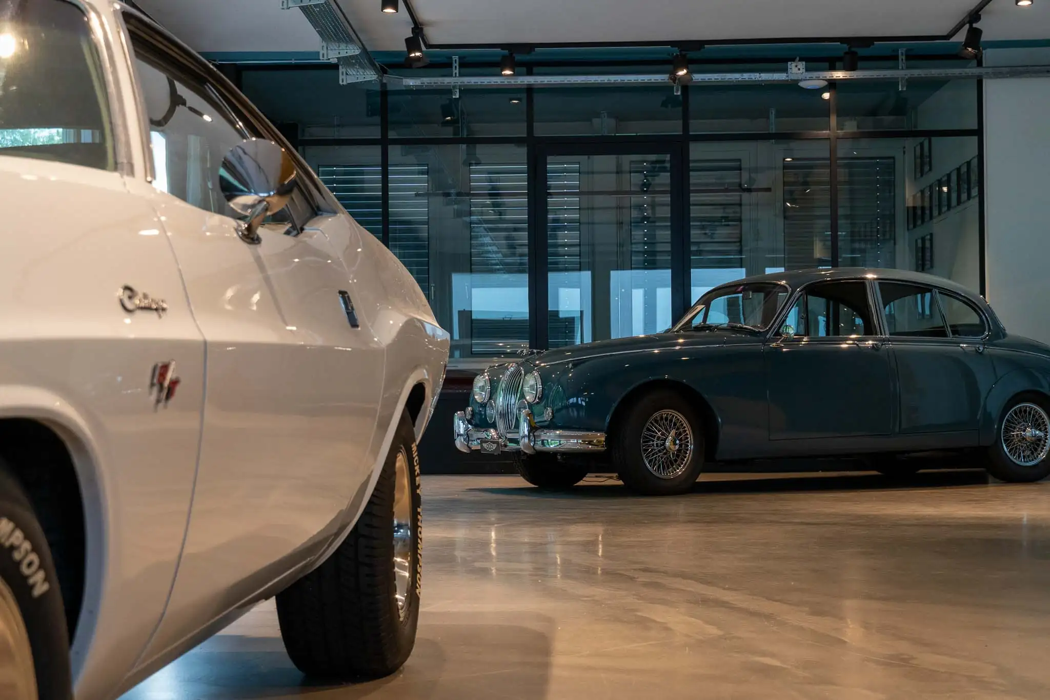White classic Dodge Challenger in the foreground with a dark green vintage Jaguar sedan in the background inside a modern showroom.