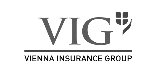 VIG Logo