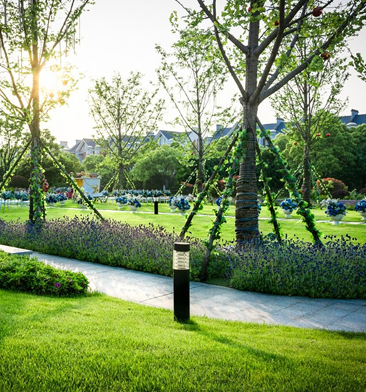 Grounds & Landscaping