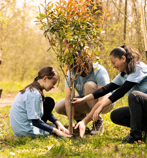 Tree & Vegetation Management