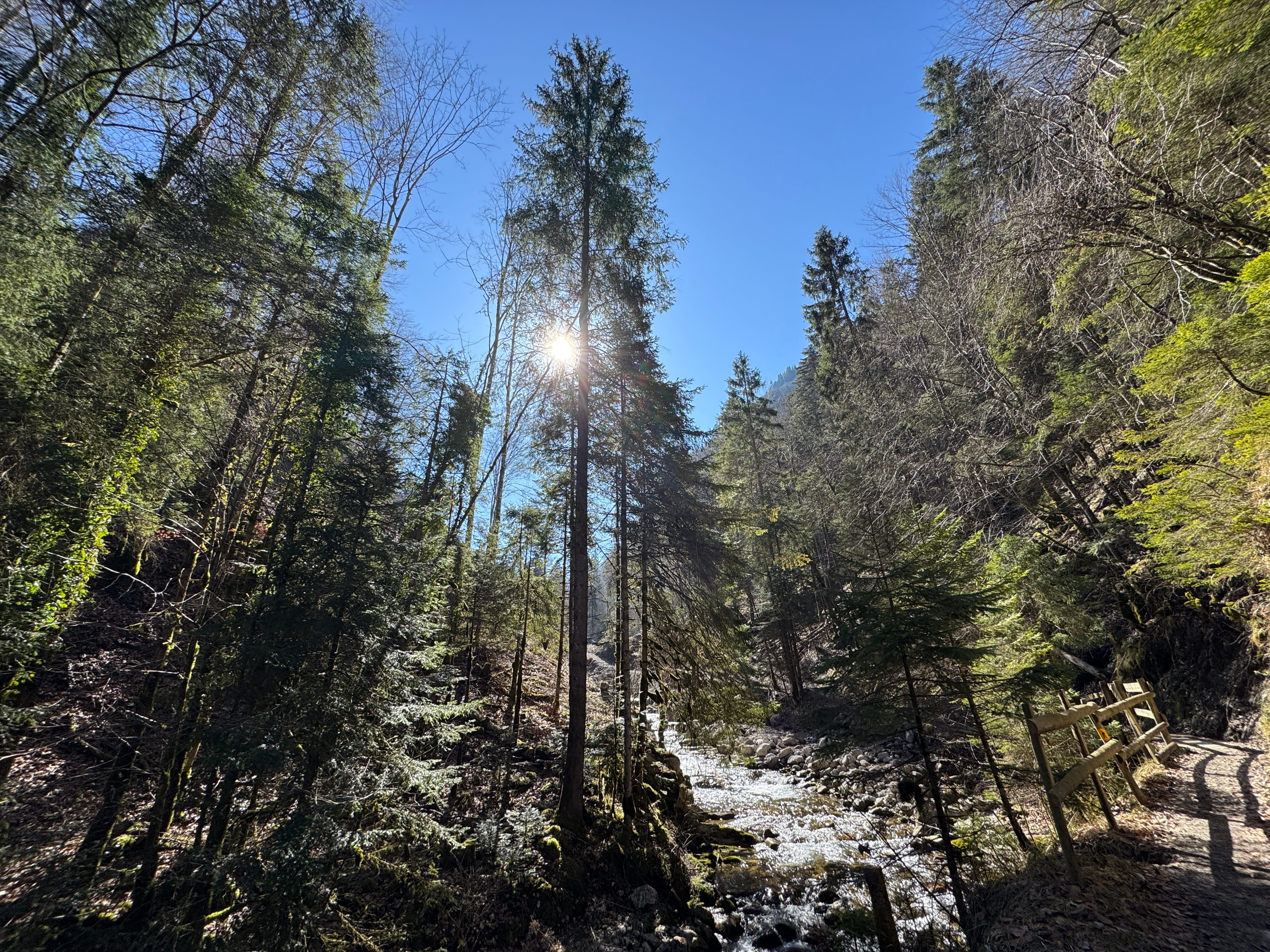 Vue aerienne des montagnes