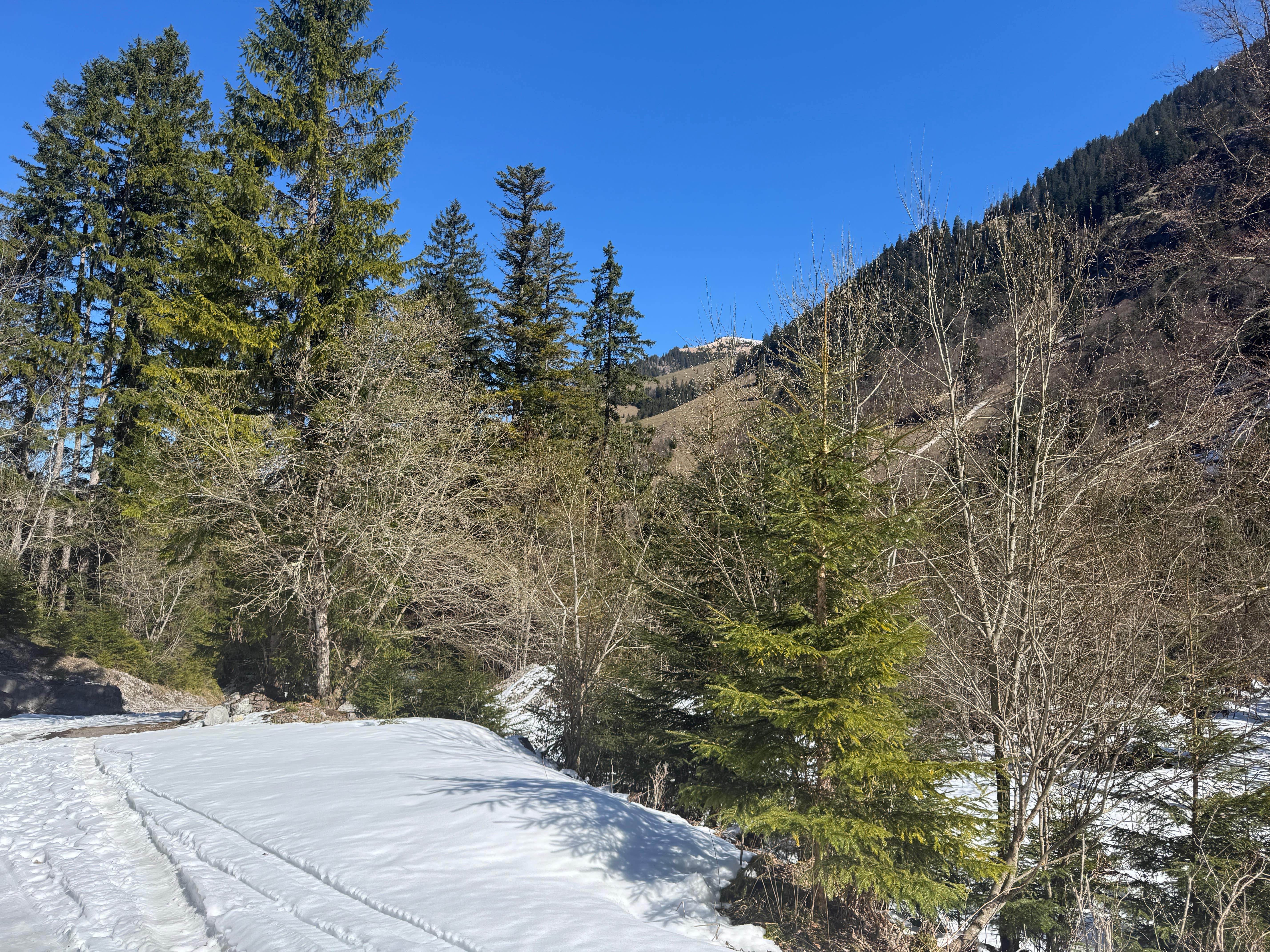 Vue aerienne des montagnes