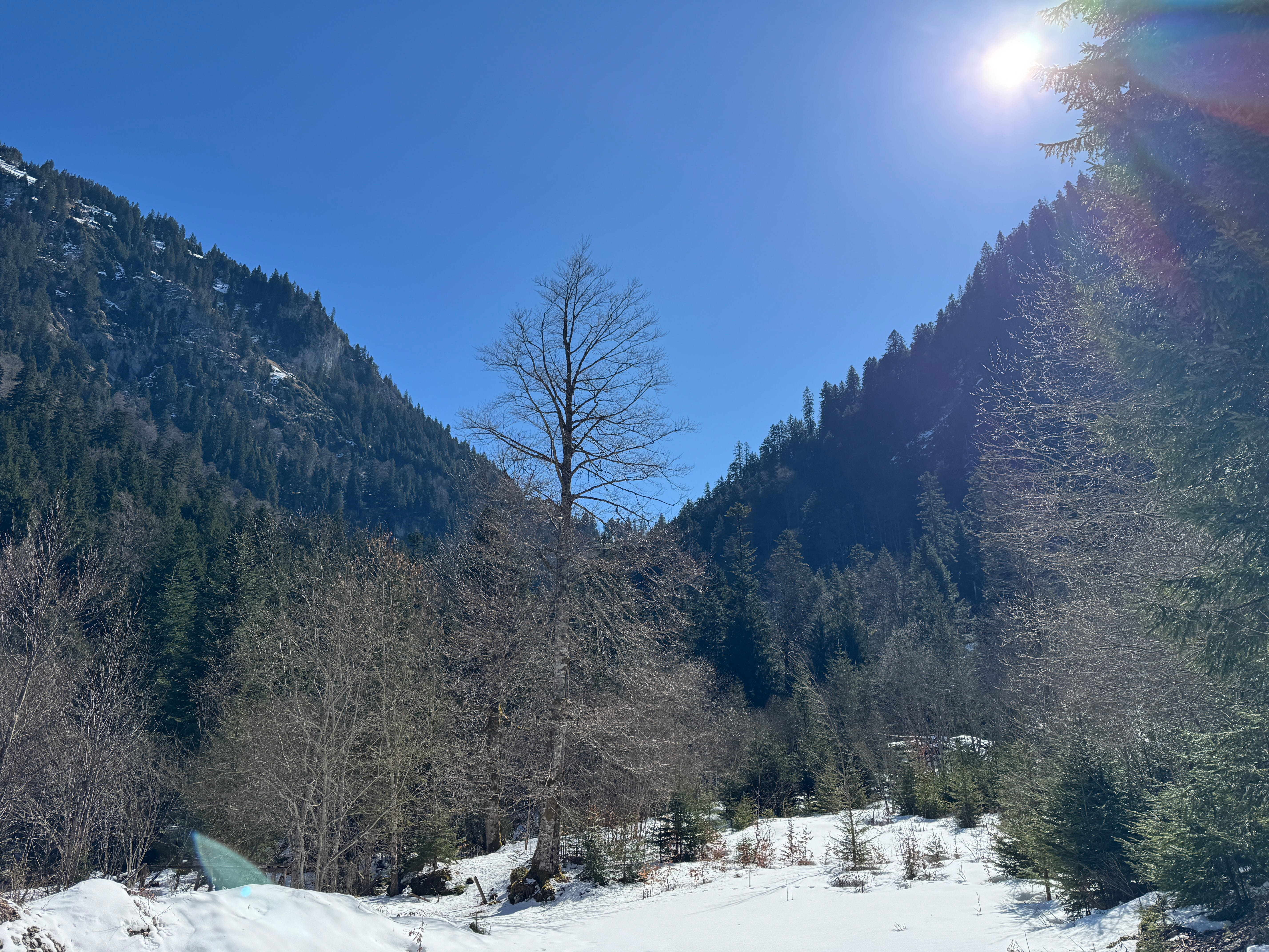 Vue aerienne des montagnes