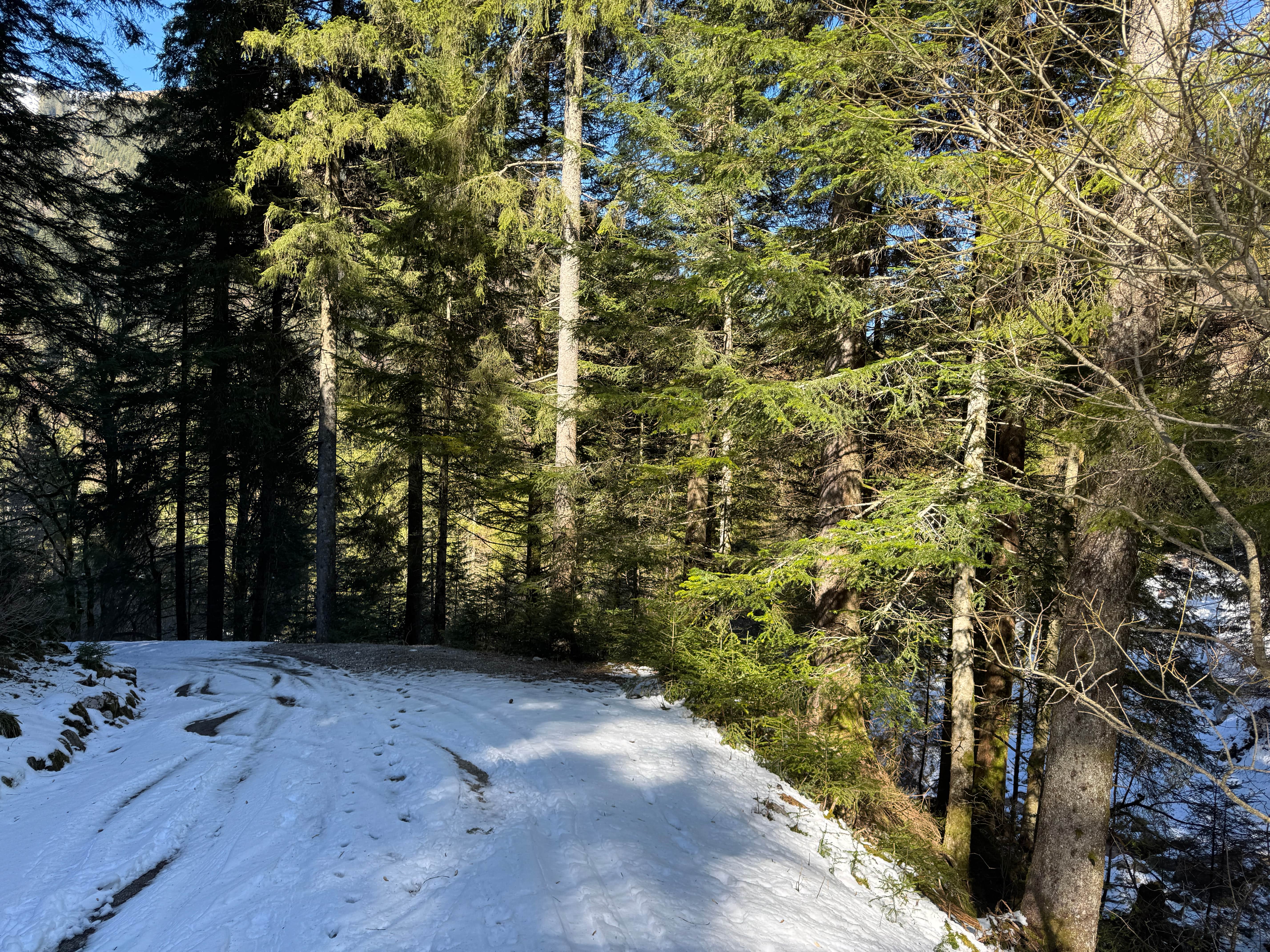Vue aerienne des montagnes