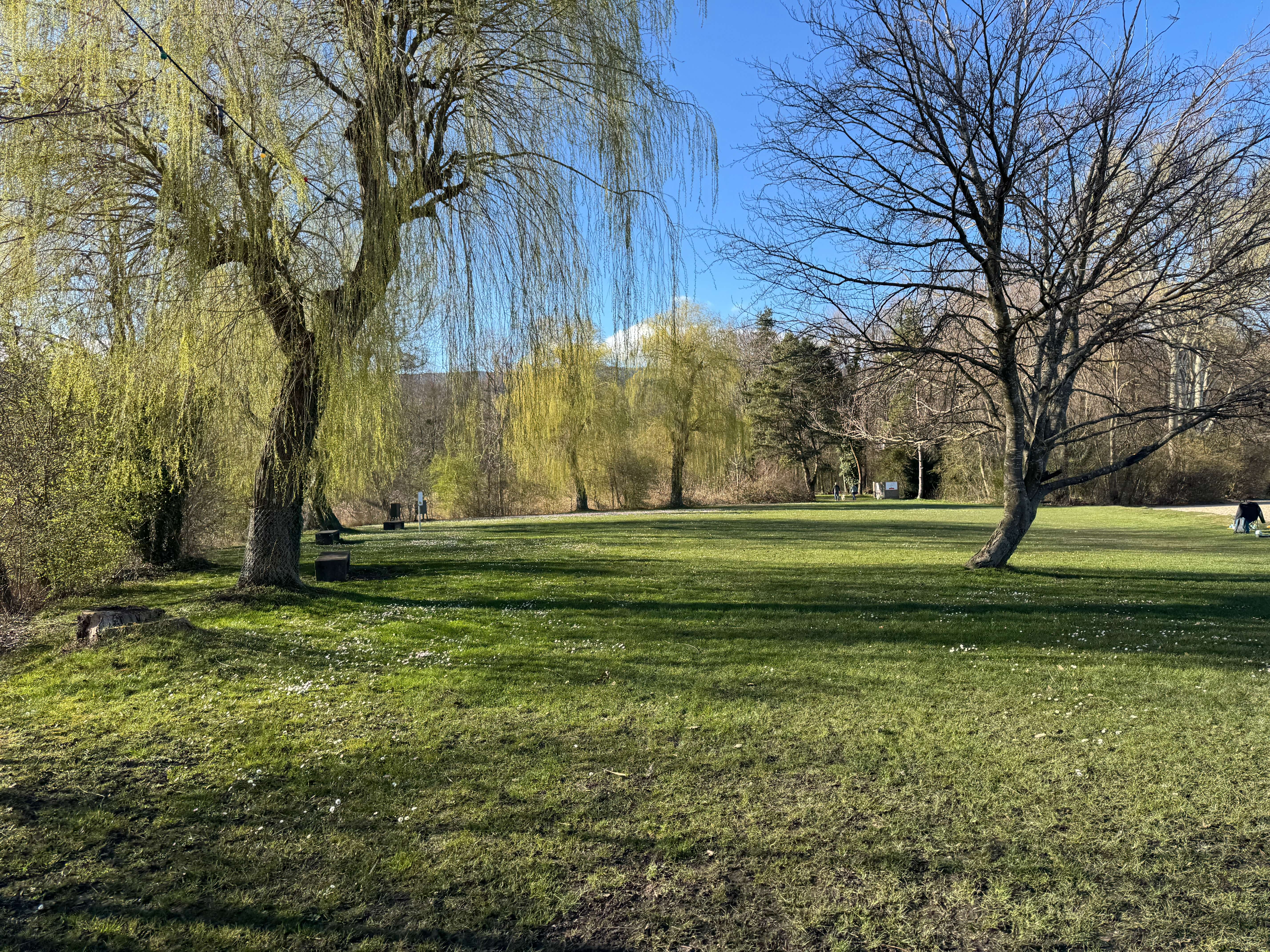 Vue aerienne des montagnes