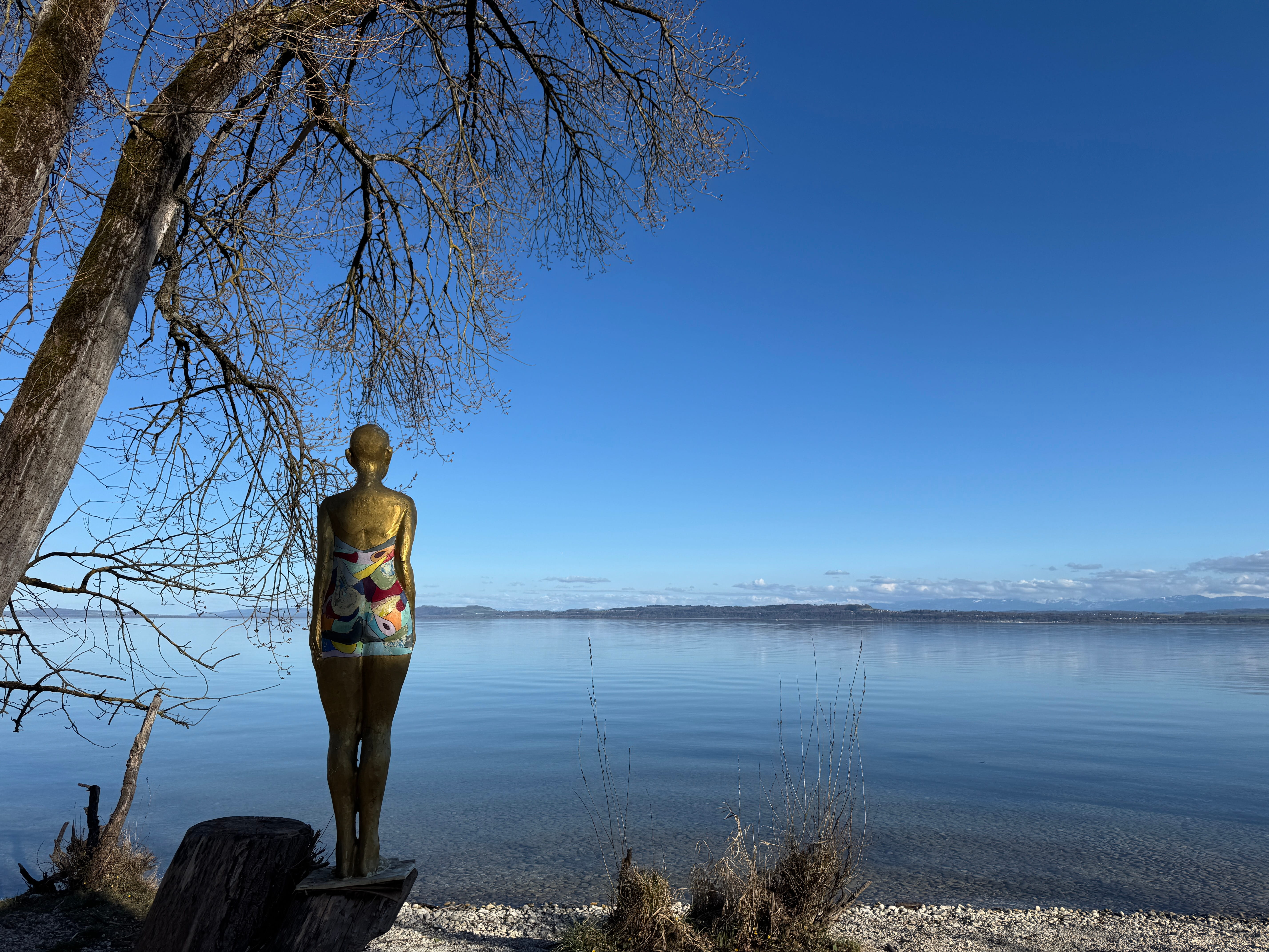Vue aerienne des montagnes
