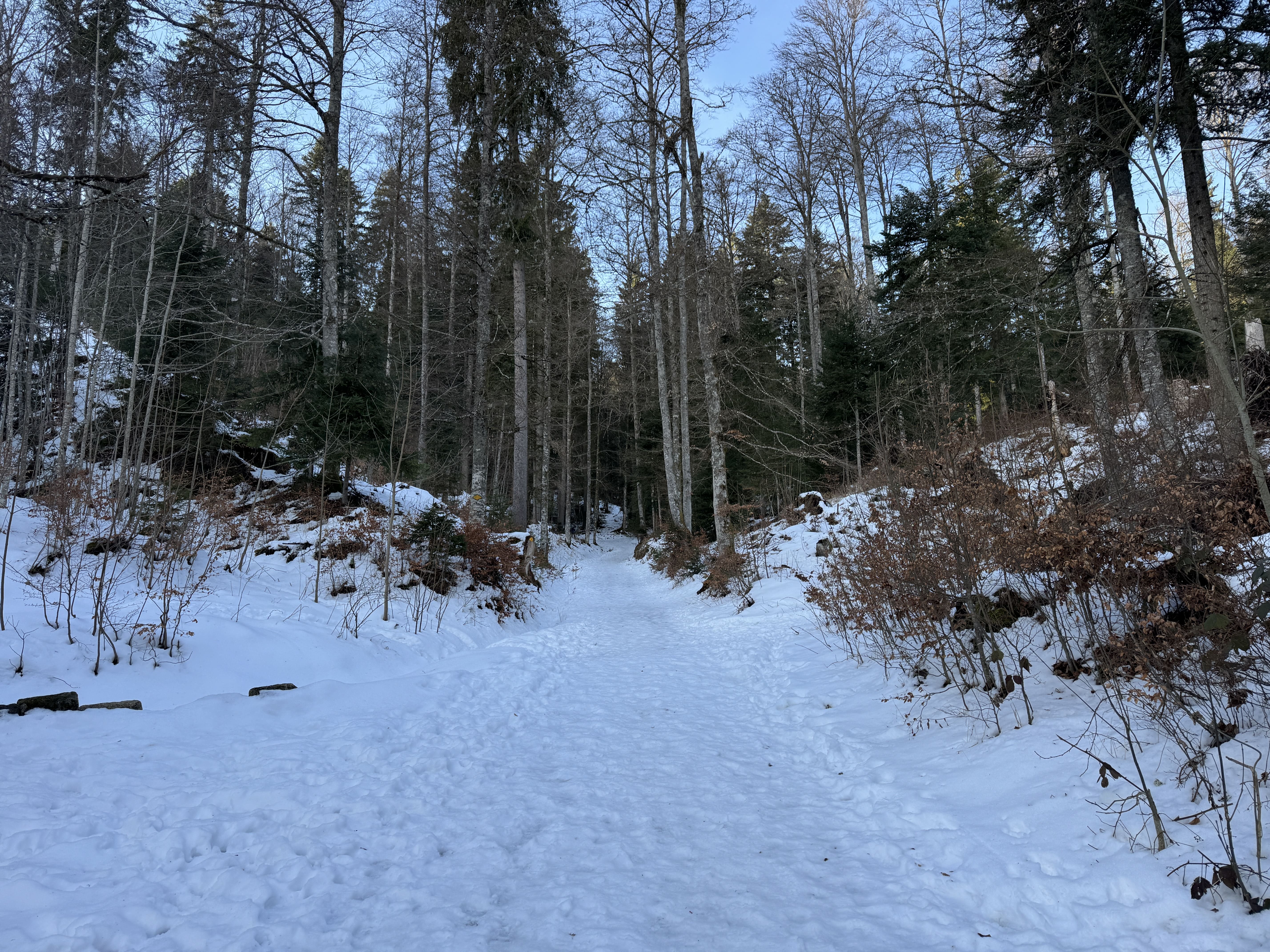 Vue aerienne des montagnes