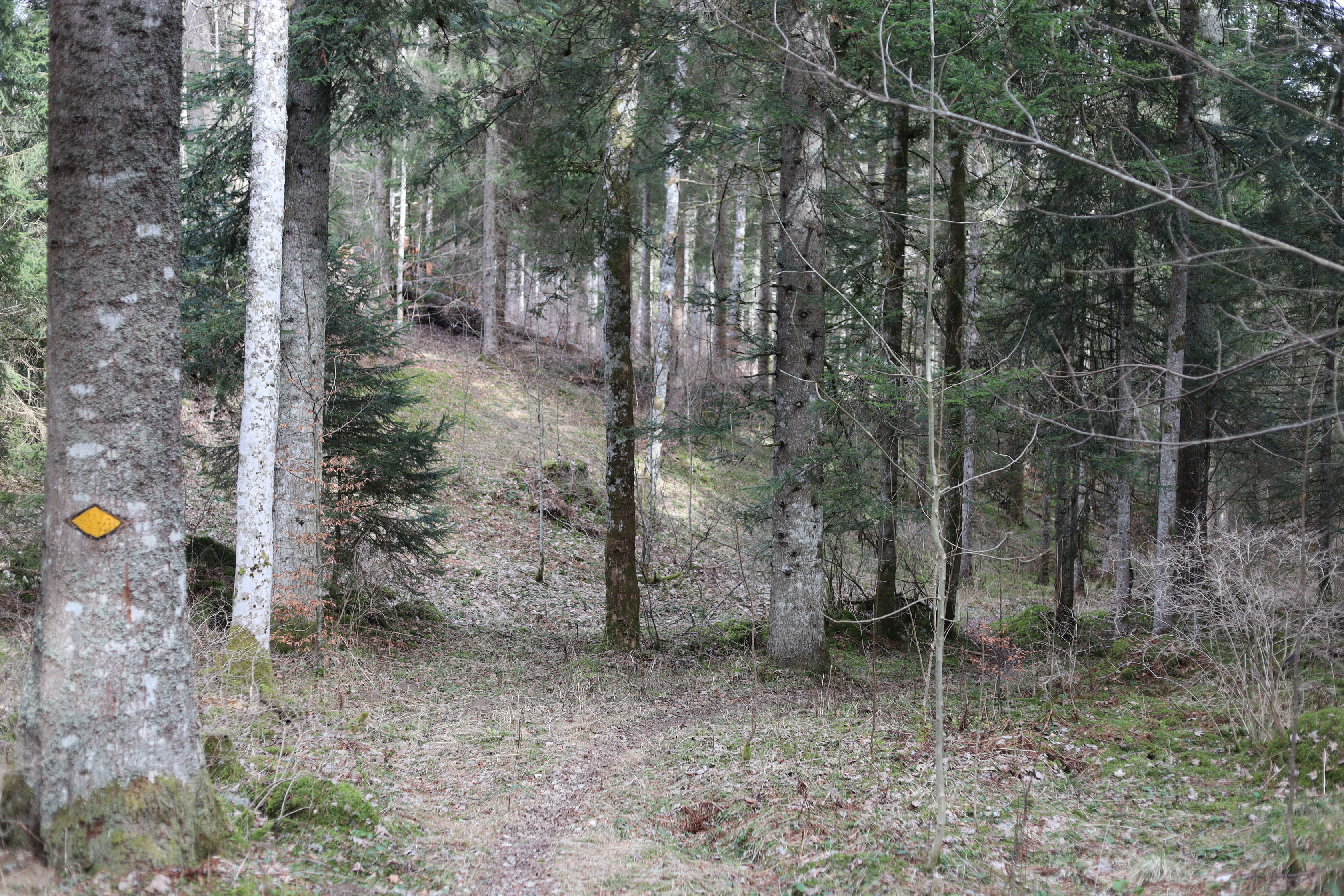 Vue aerienne des montagnes