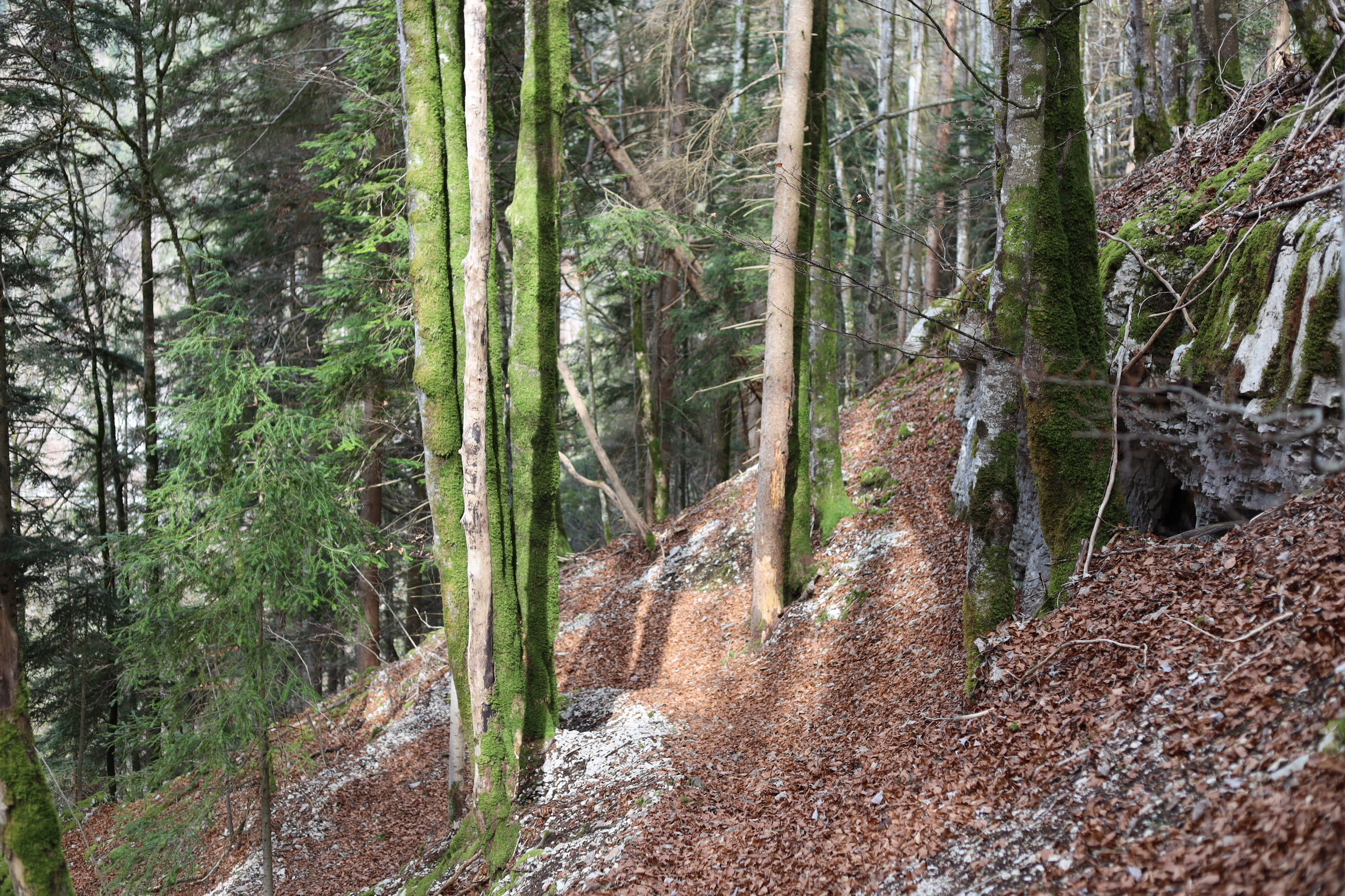Vue aerienne des montagnes