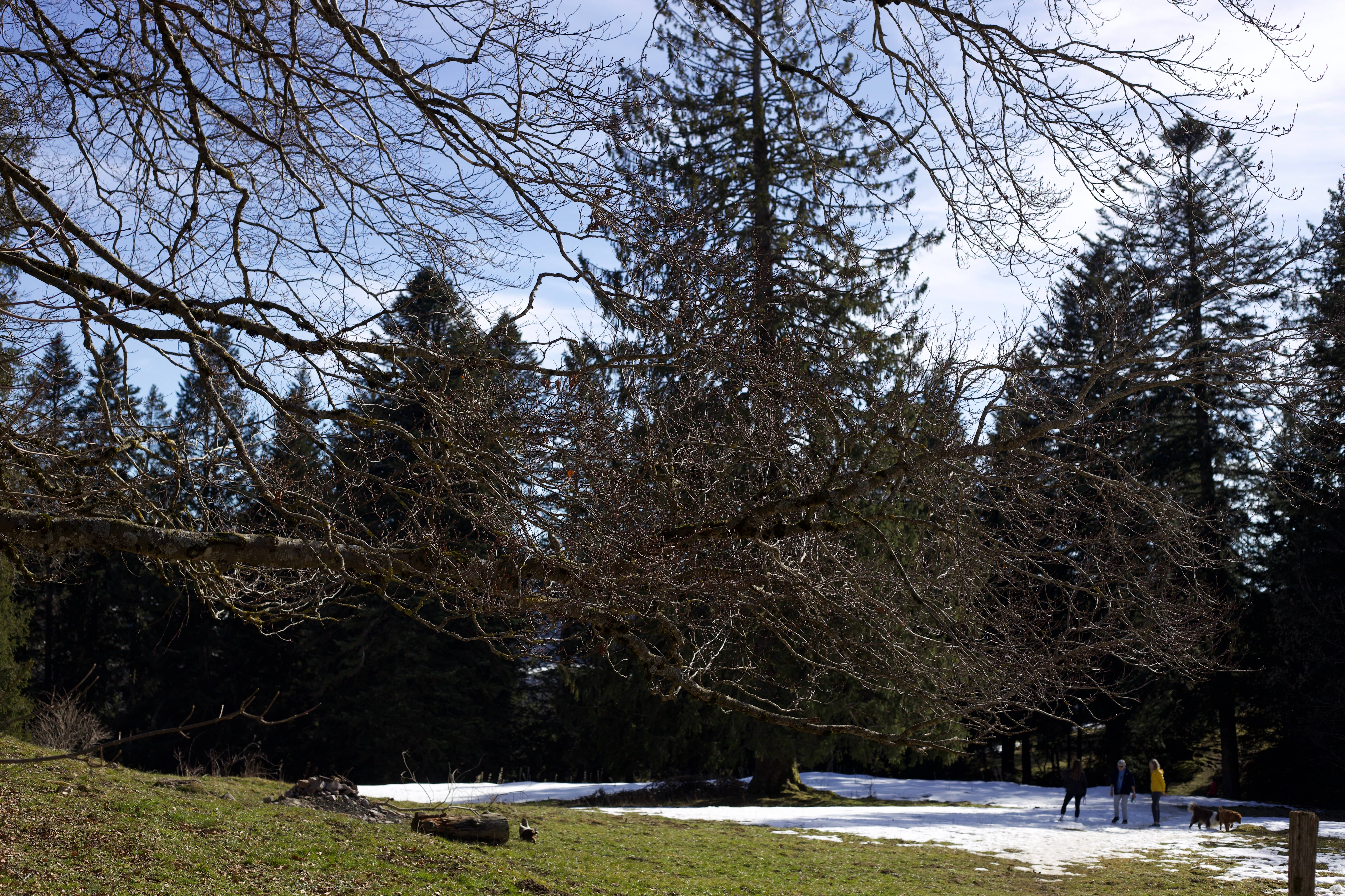 Vue aerienne des montagnes