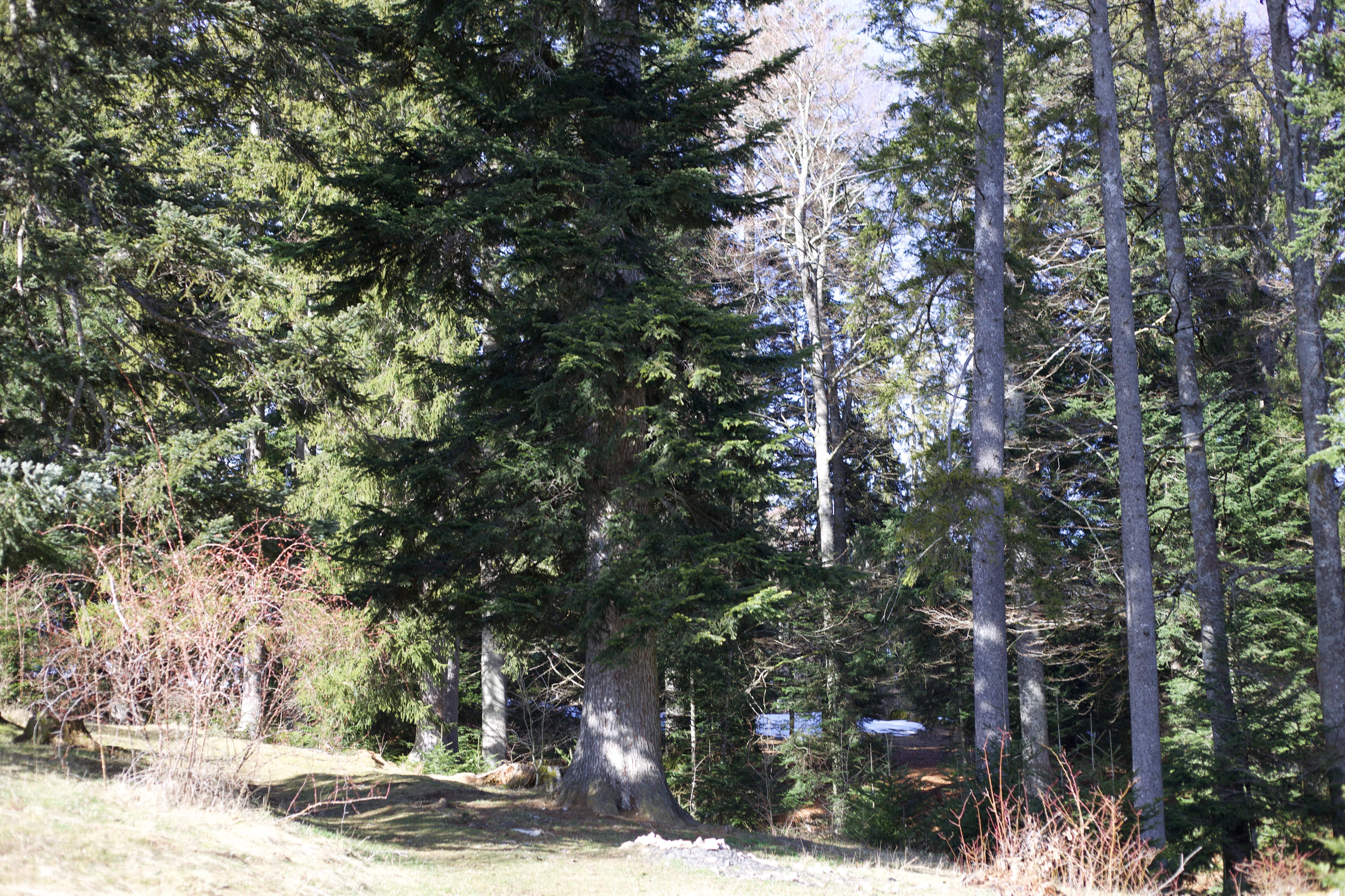 Vue aerienne des montagnes