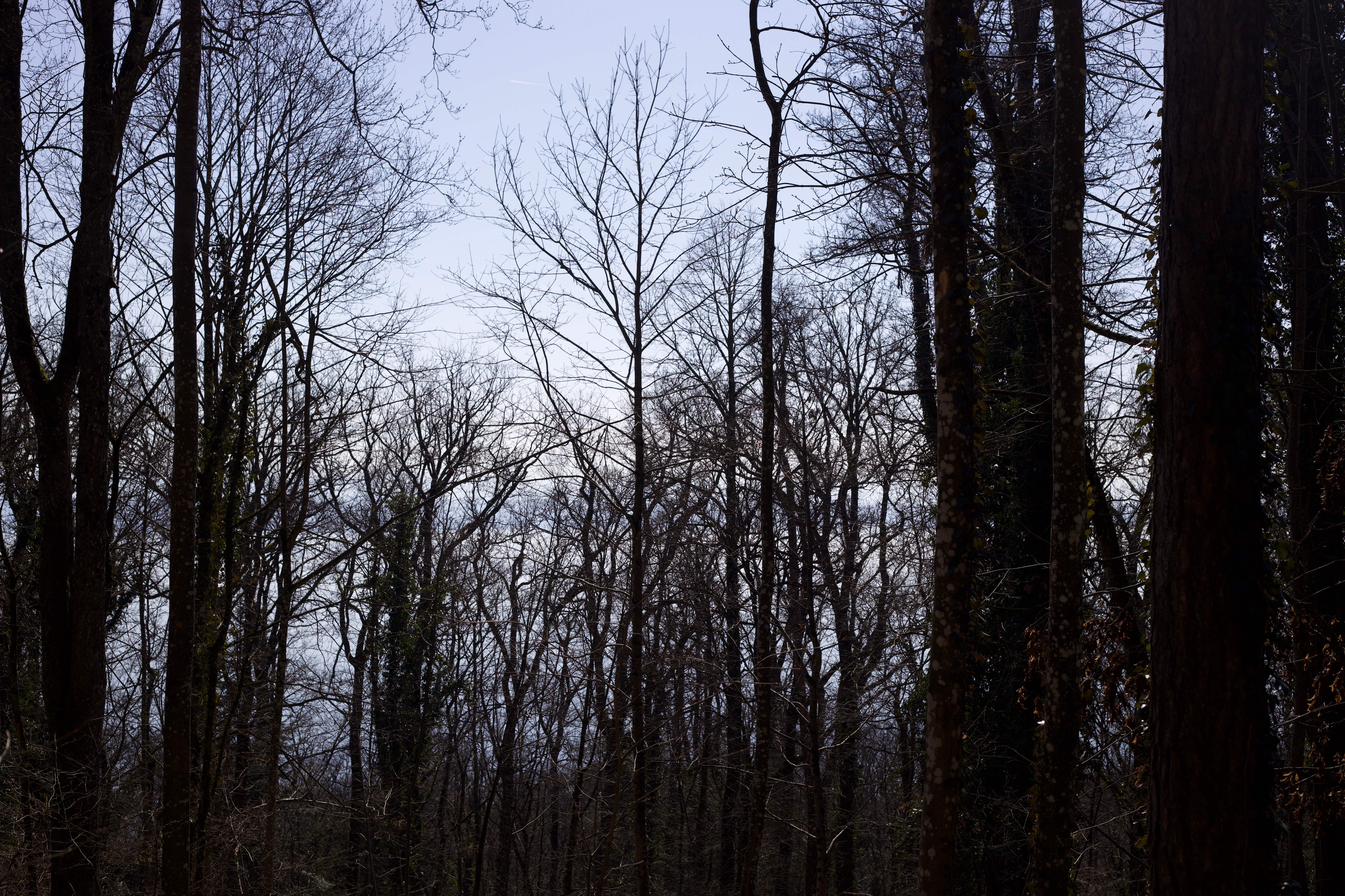 Vue aerienne des montagnes