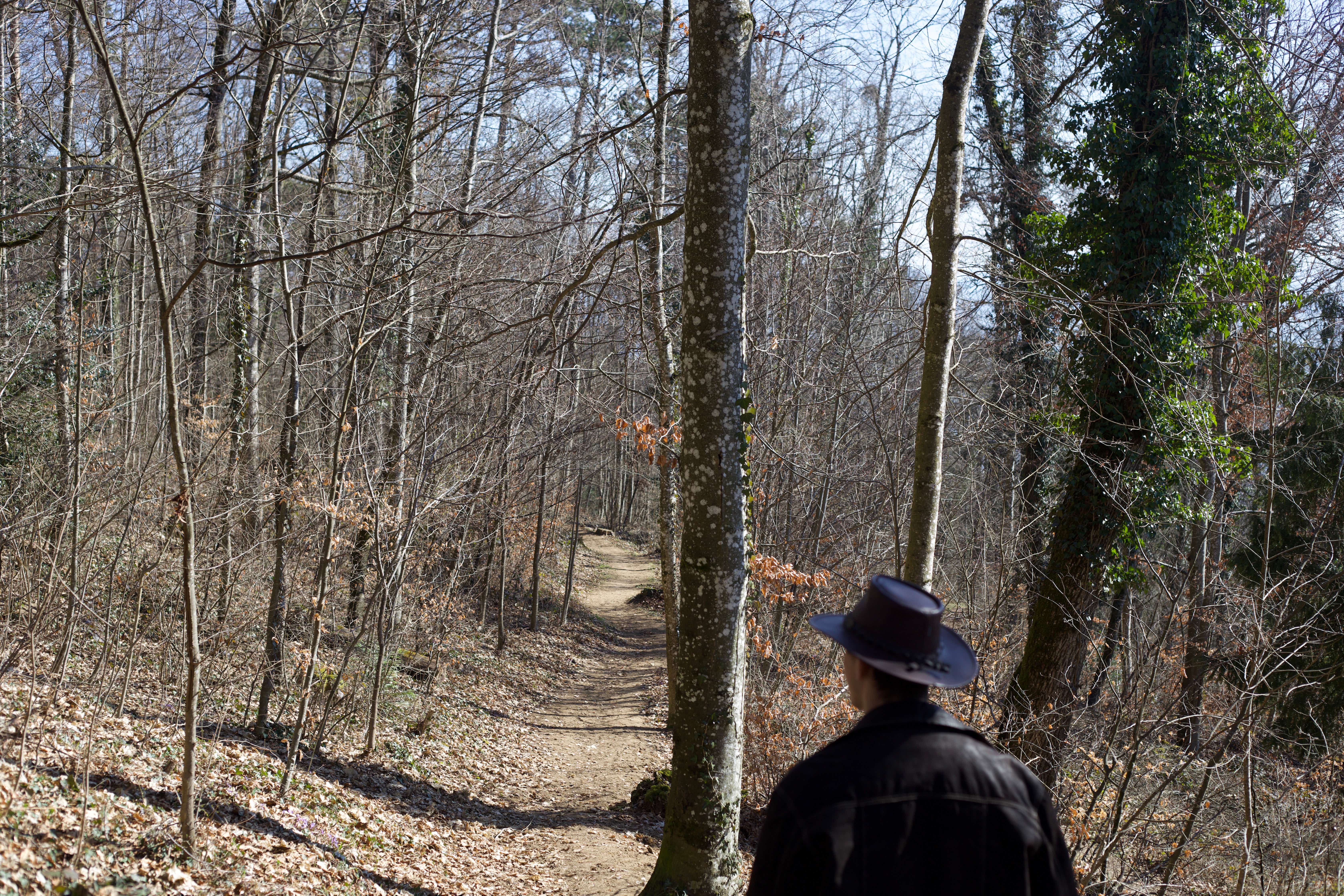 Vue aerienne des montagnes