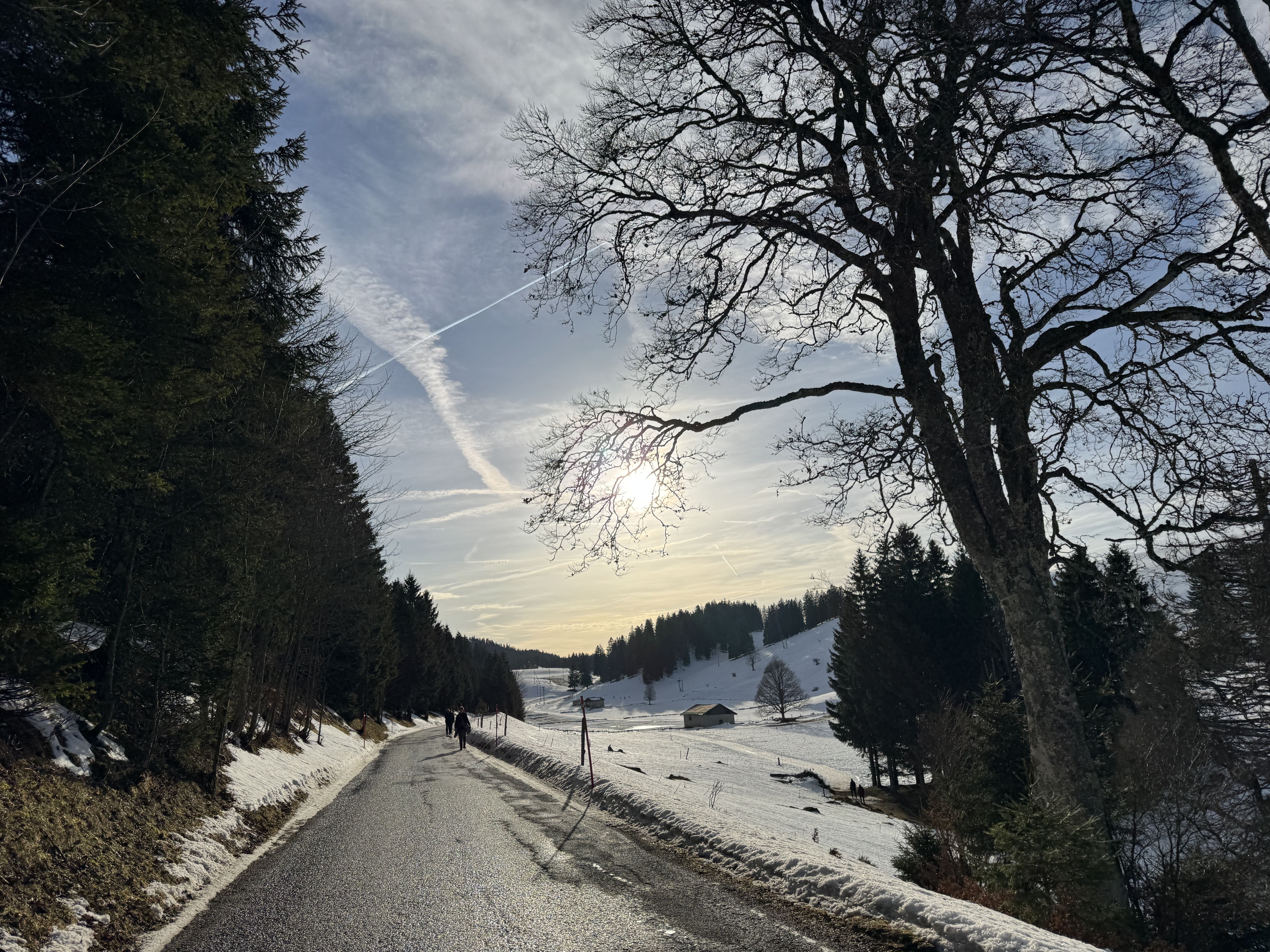 Vue aerienne des montagnes
