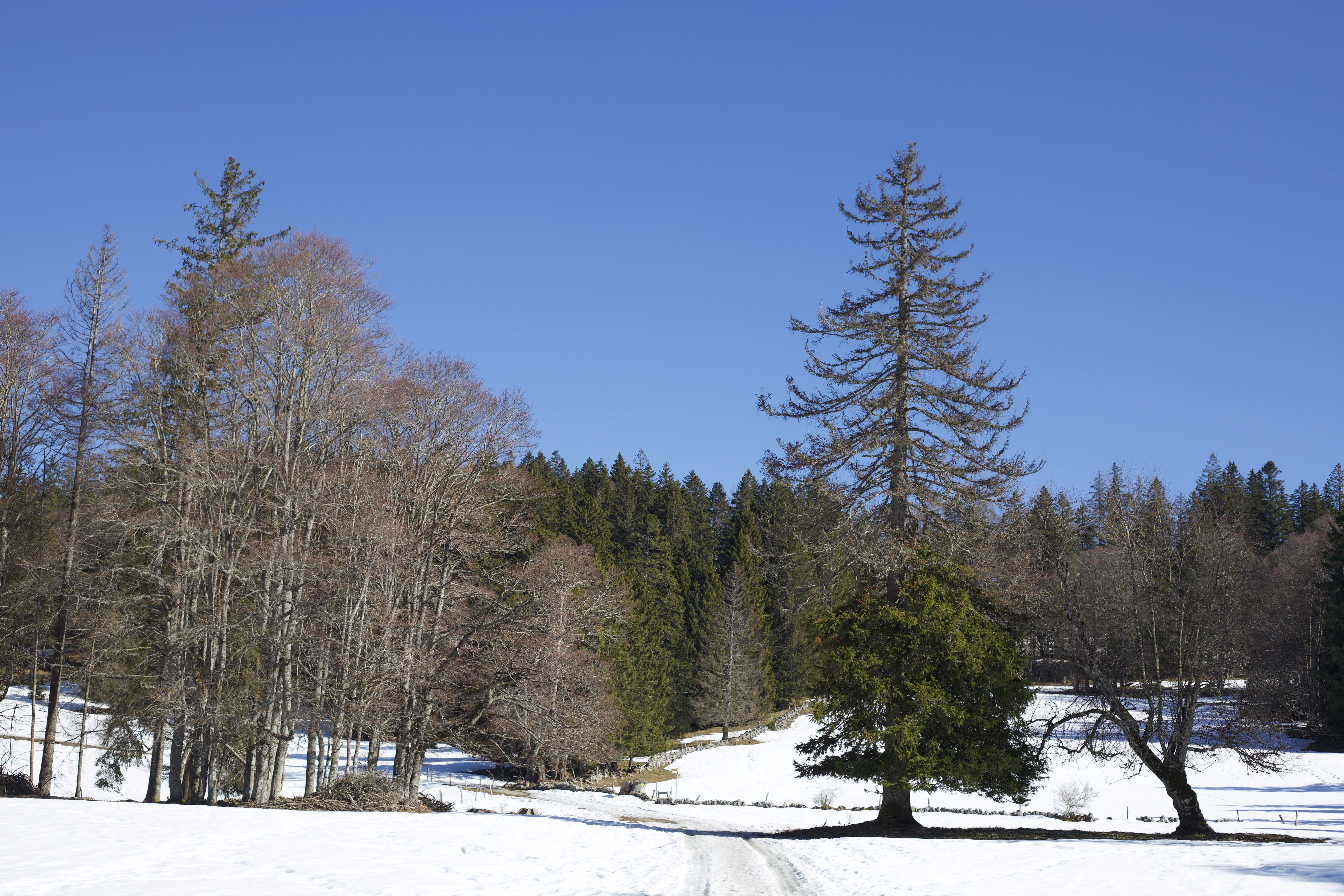 Vue aerienne des montagnes