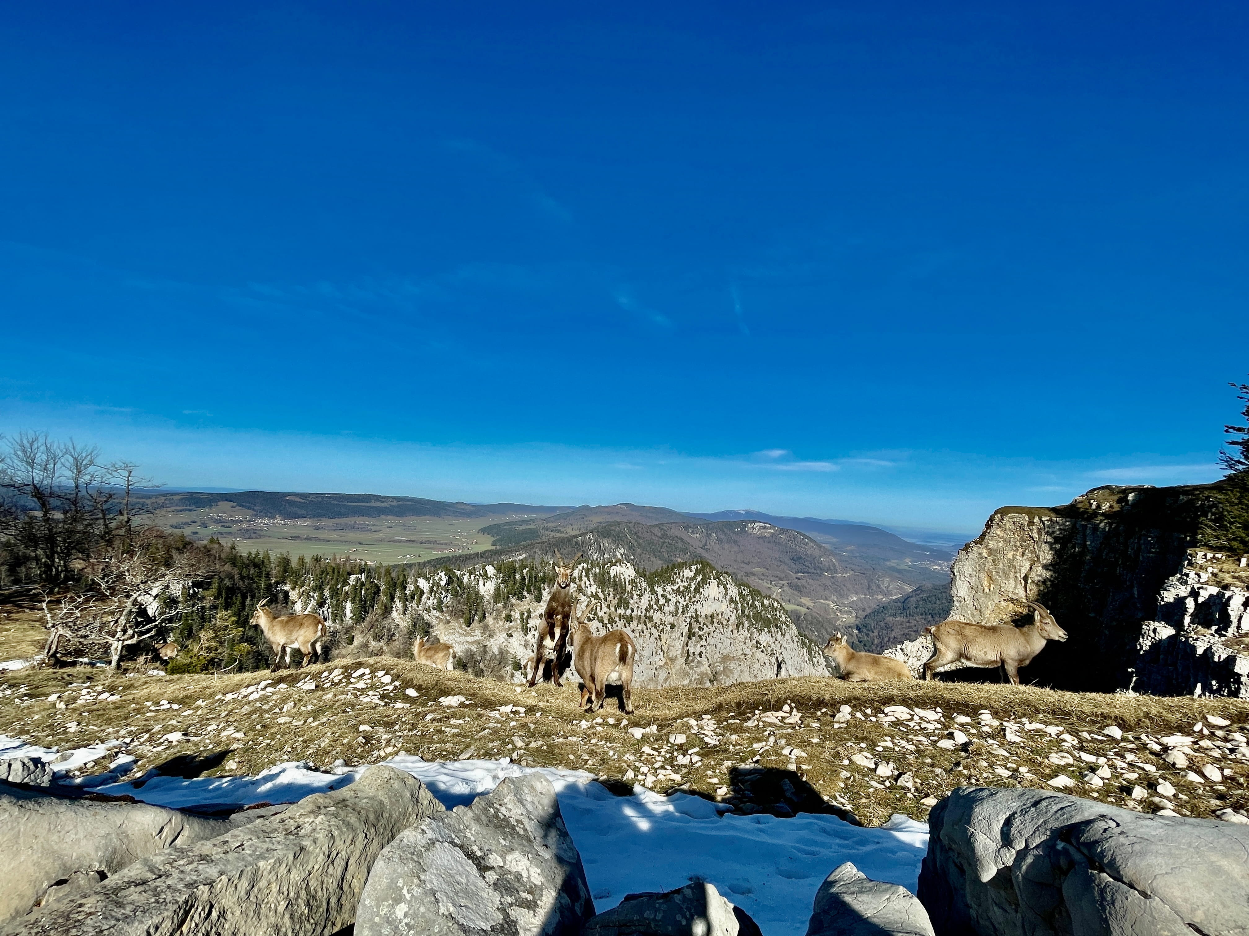 Vue aerienne des montagnes