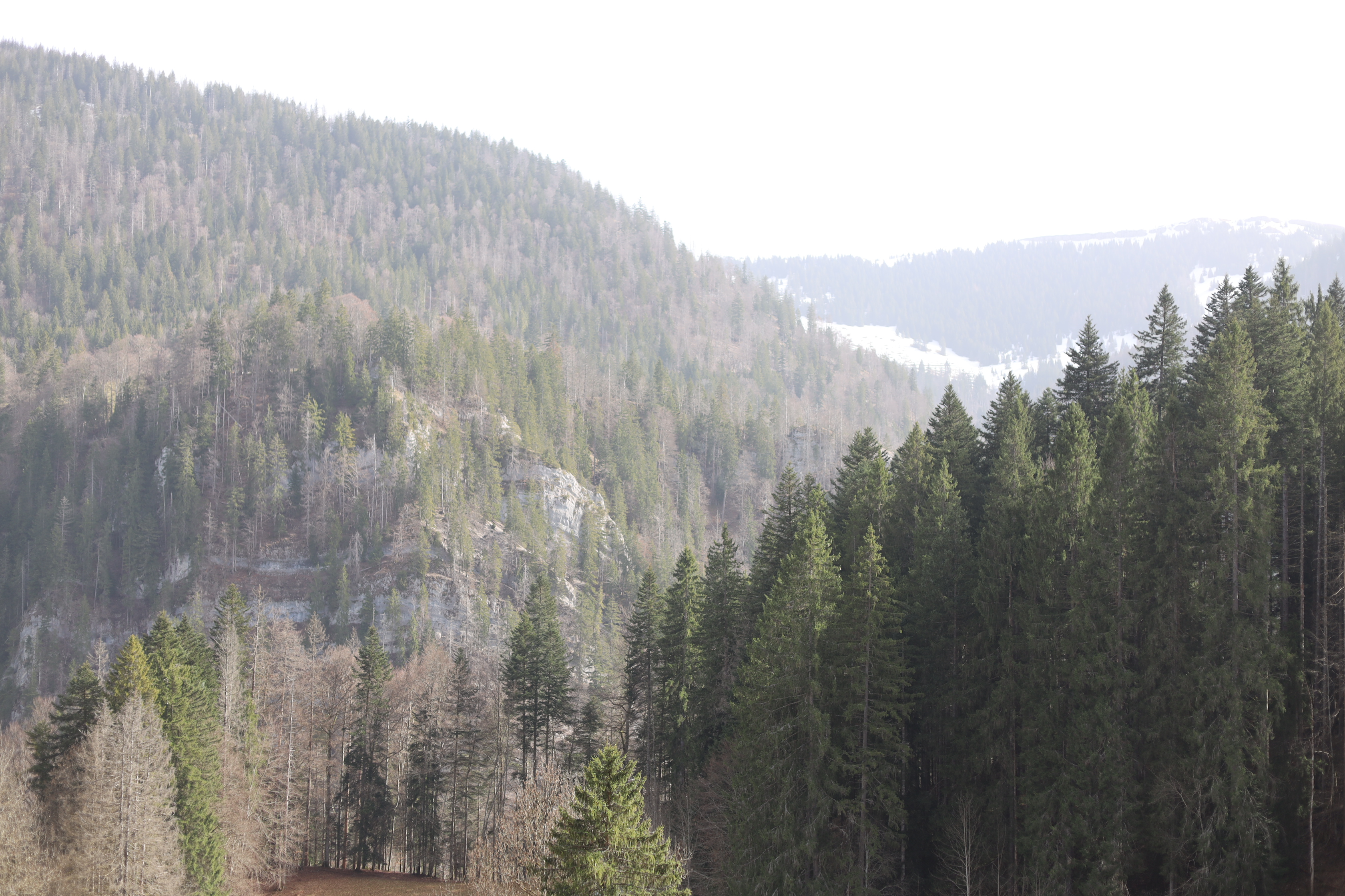 Vue aerienne des montagnes