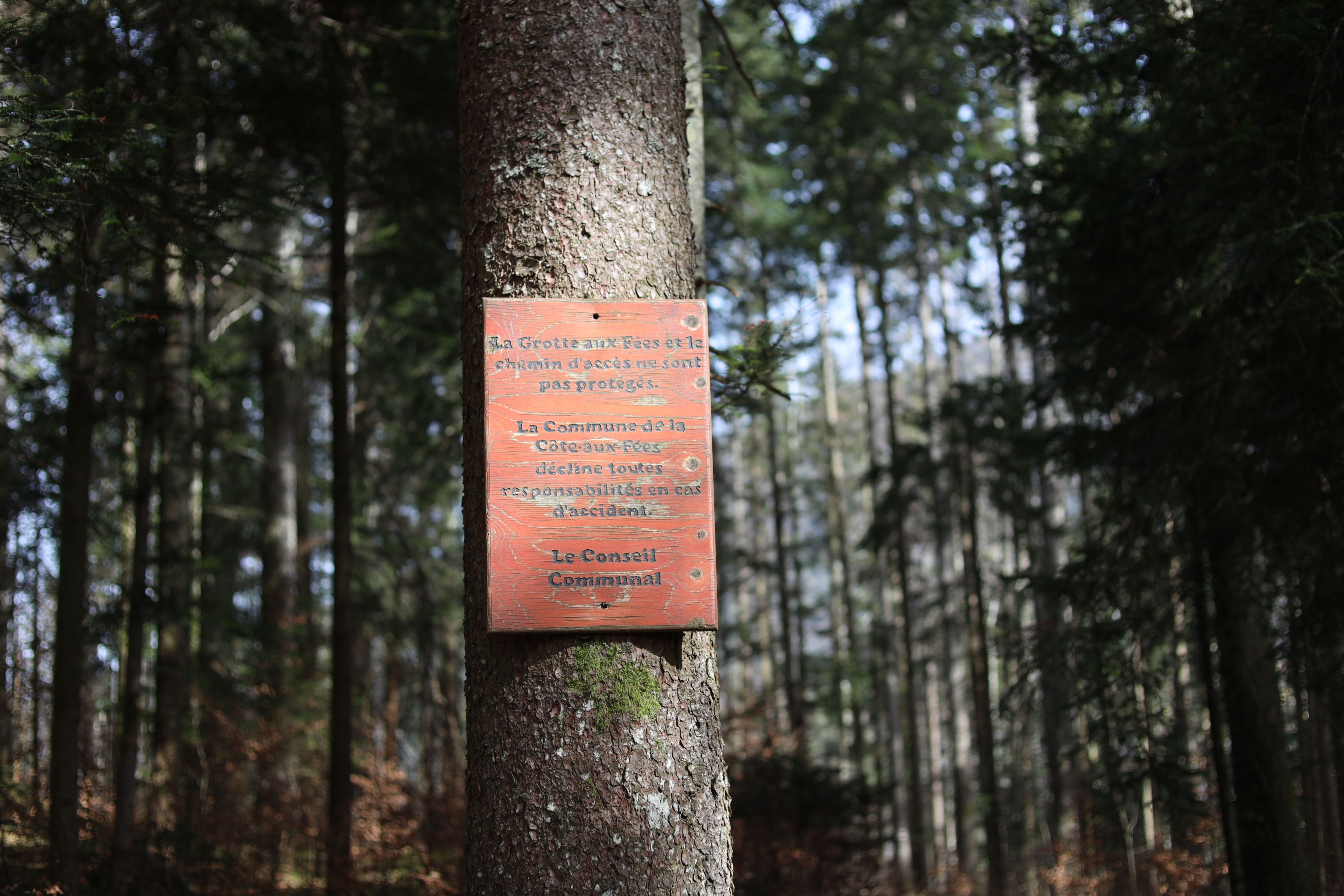 Vue aerienne des montagnes