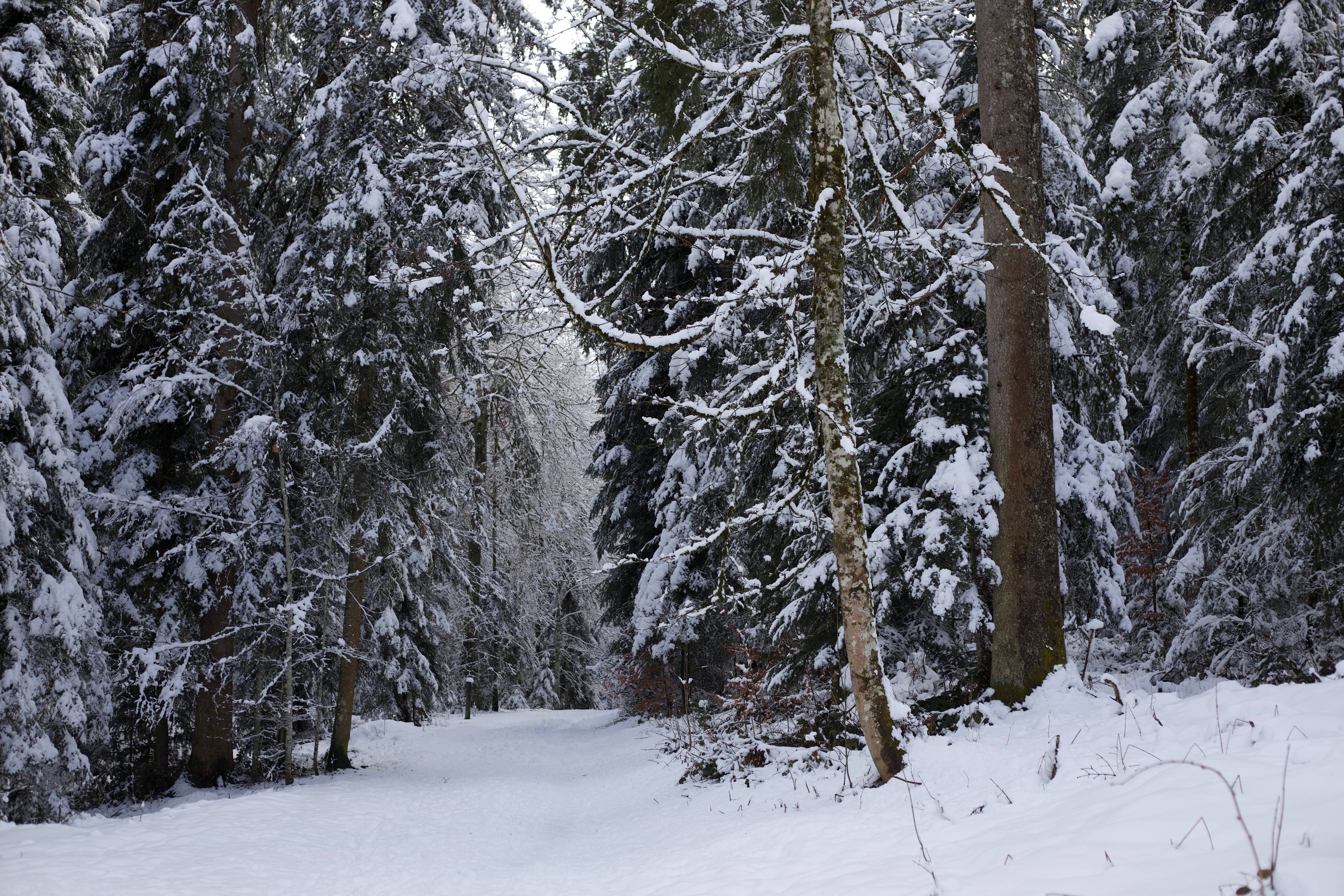 Vue aerienne des montagnes