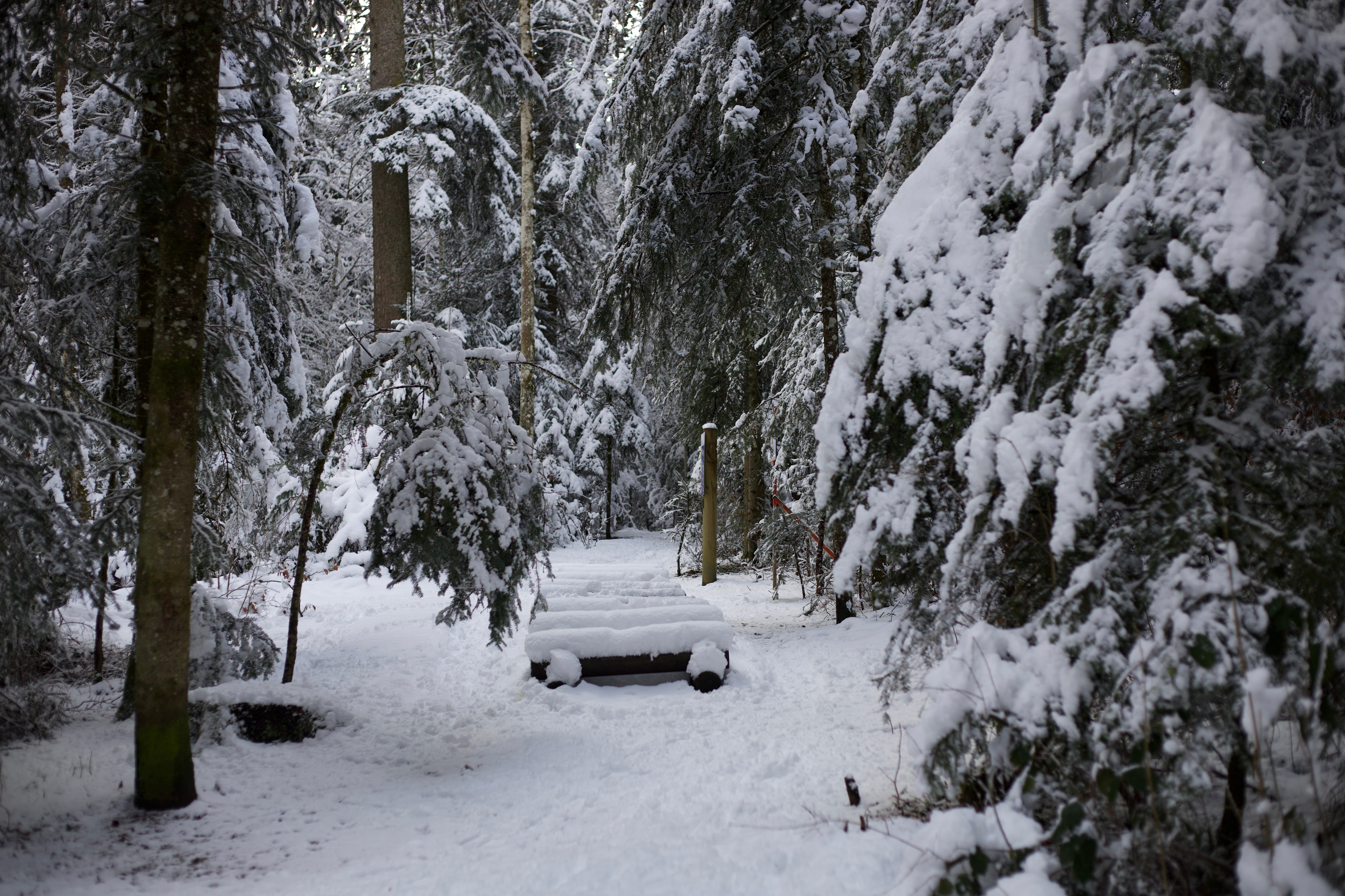 Vue aerienne des montagnes