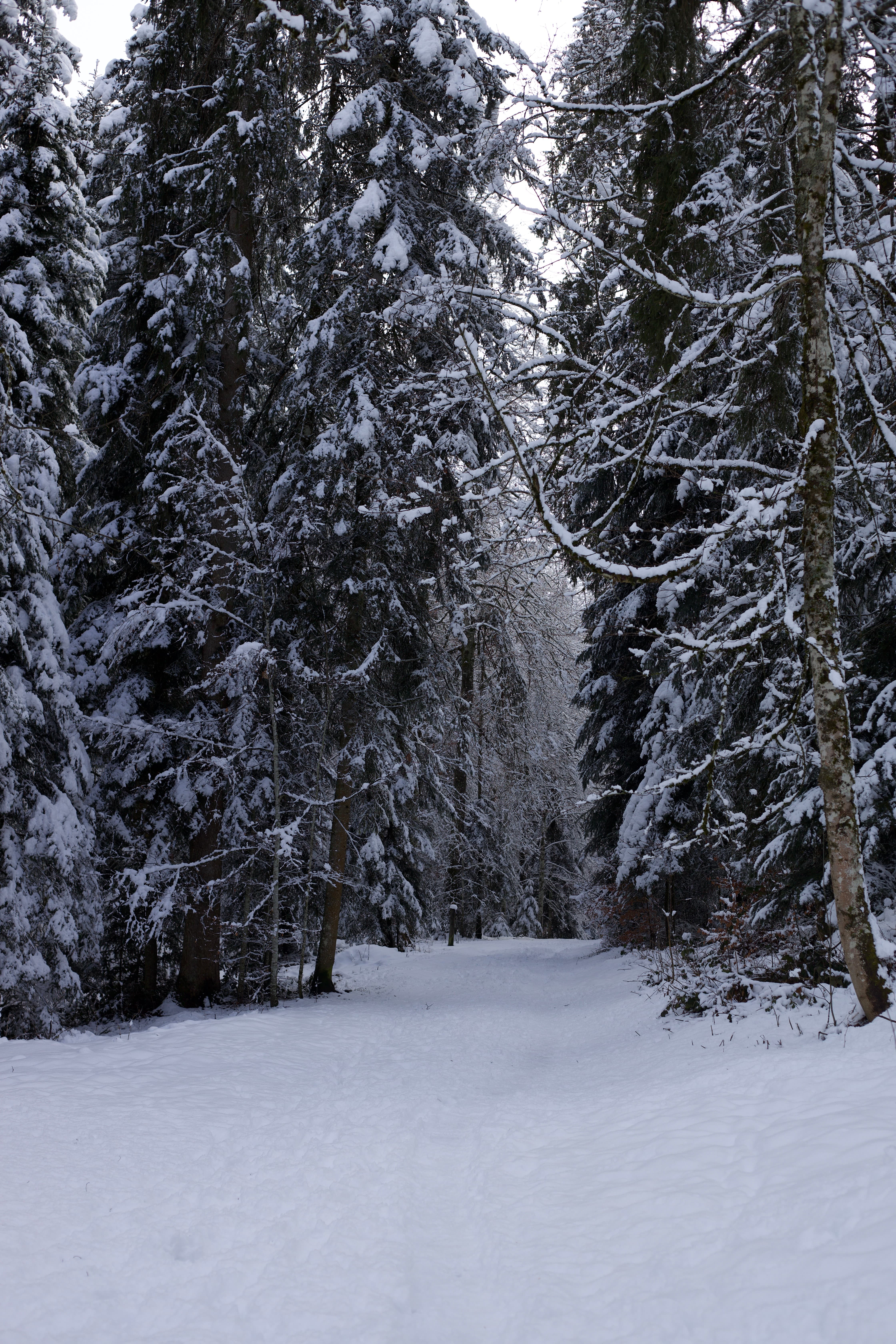Vue aerienne des montagnes