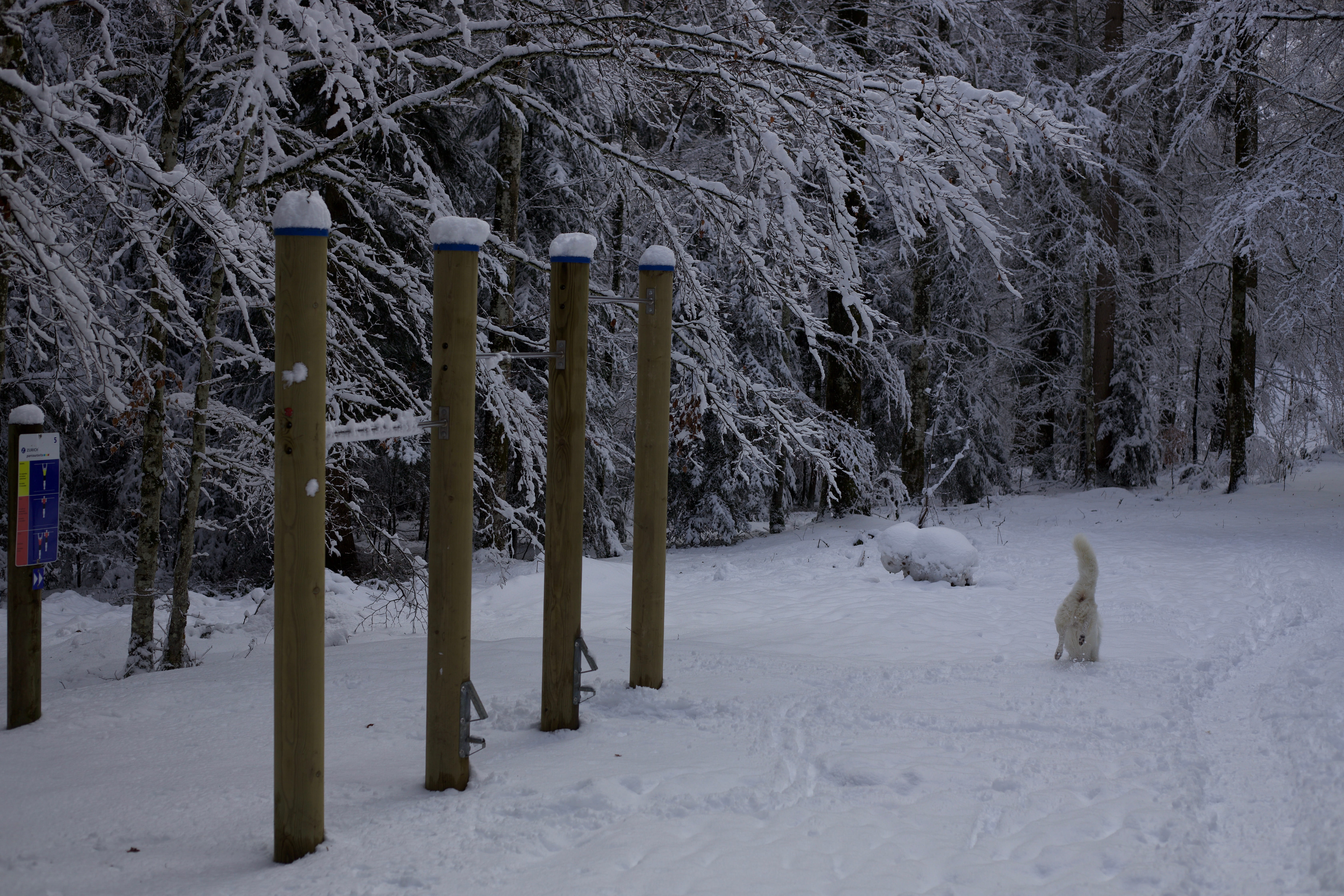 Vue aerienne des montagnes