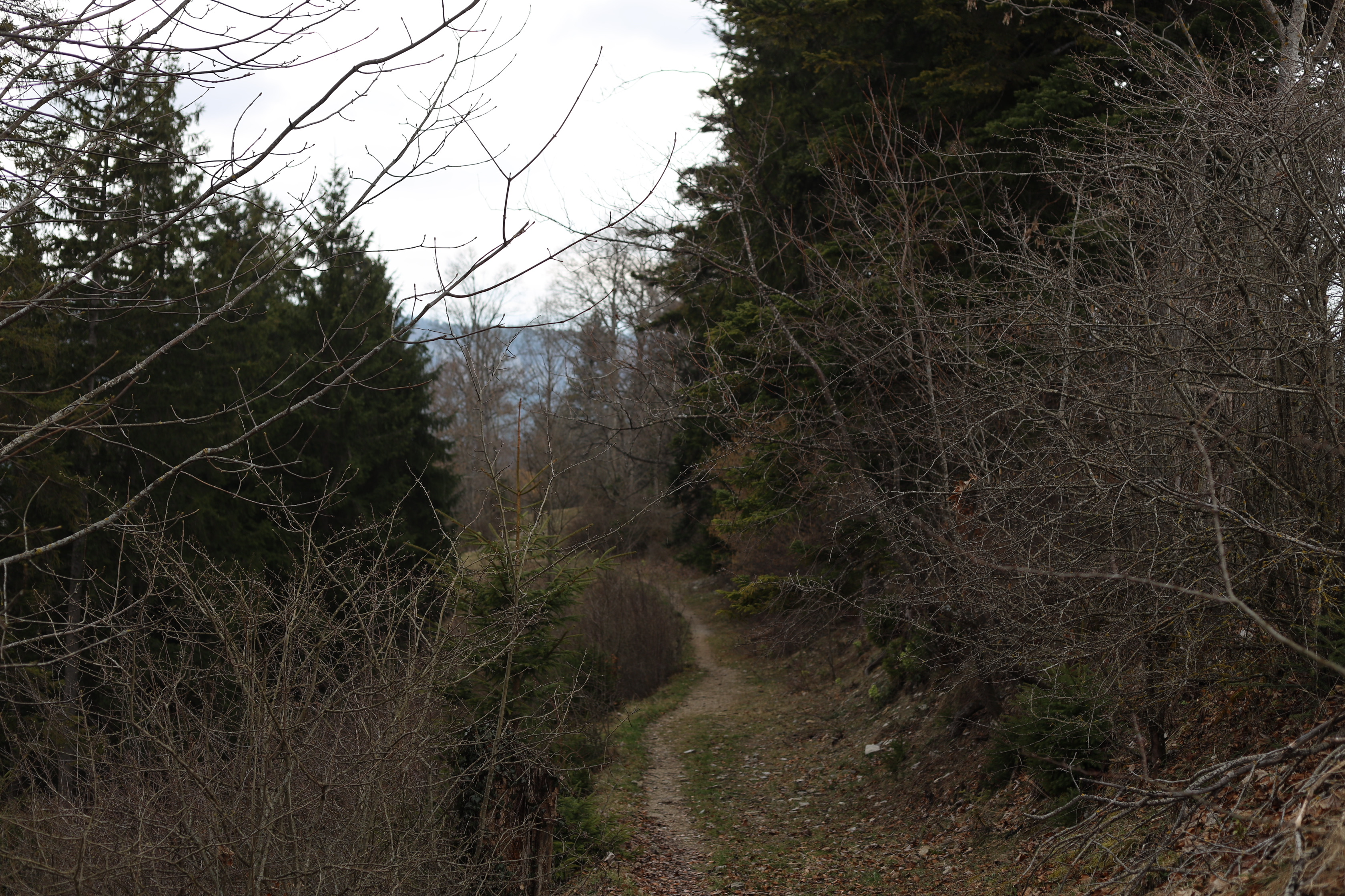 Vue aerienne des montagnes
