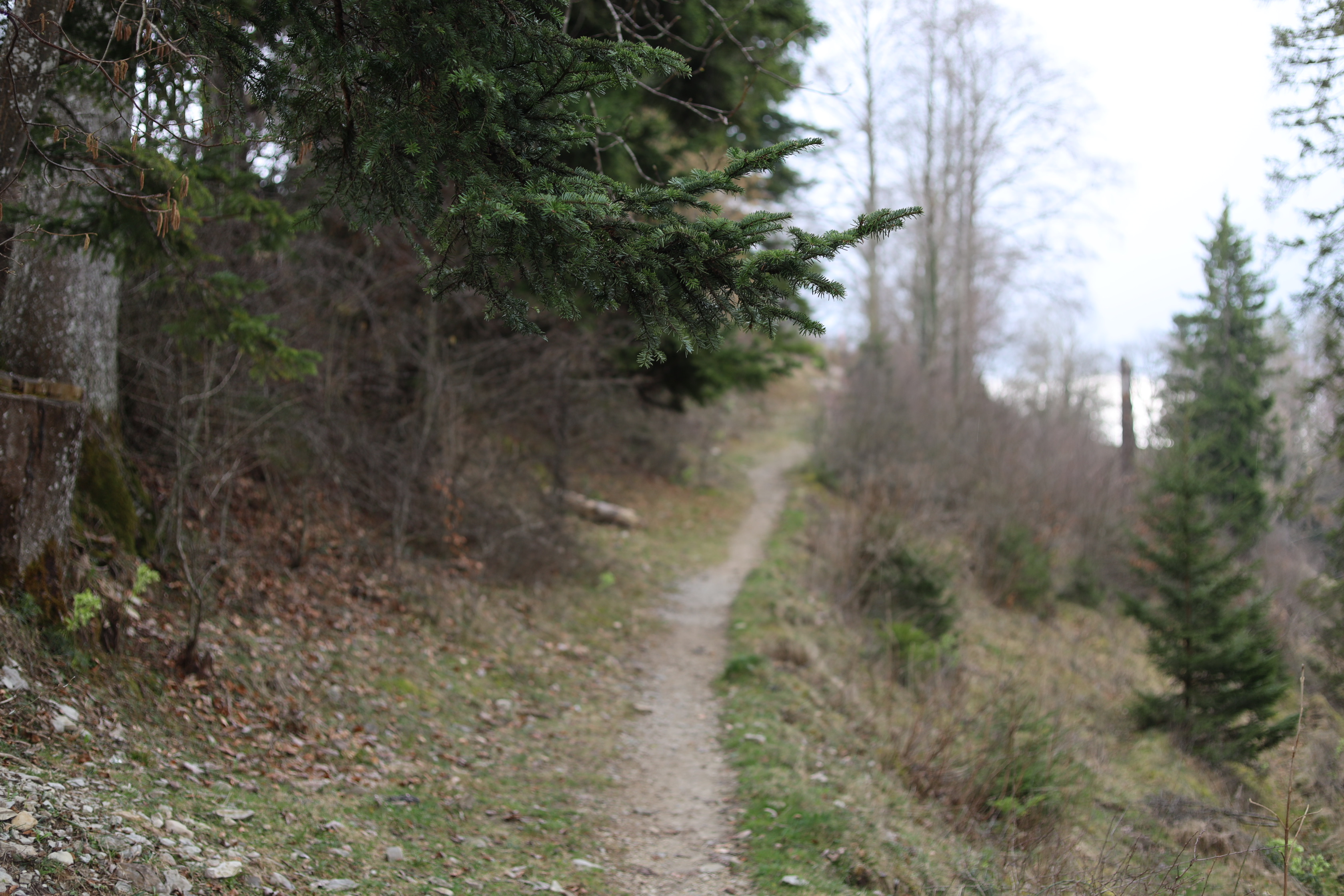 Vue aerienne des montagnes